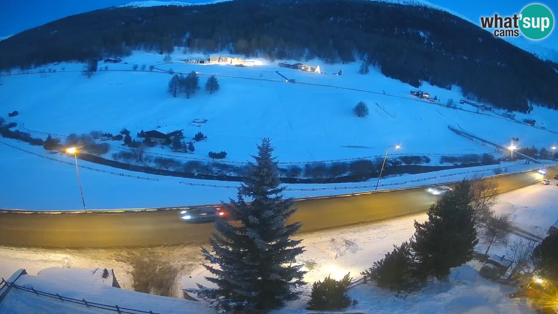 Livigno Cam Hotel Primula | Livigno smučišče