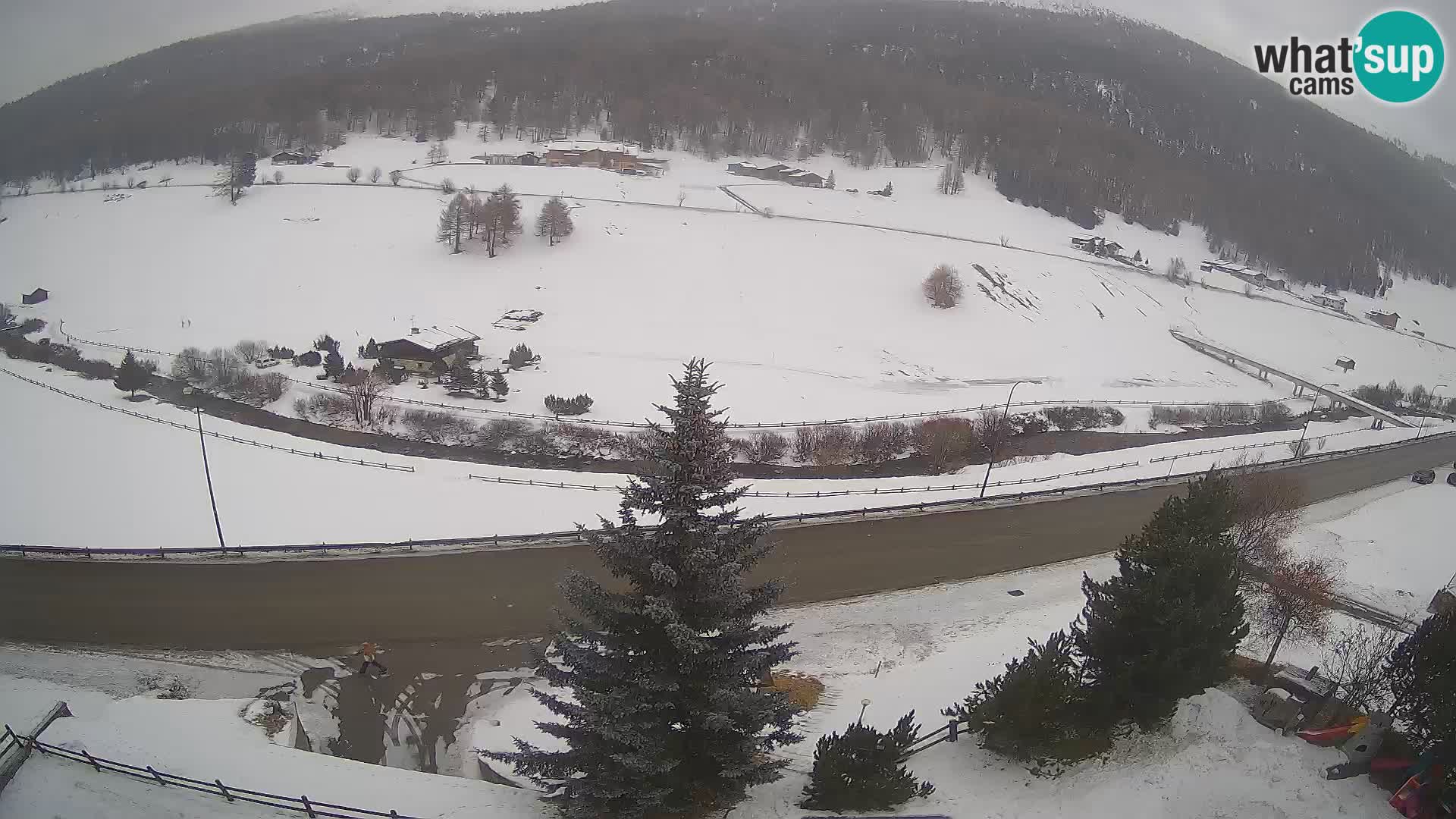 Livigno web kamera Hotel Primula