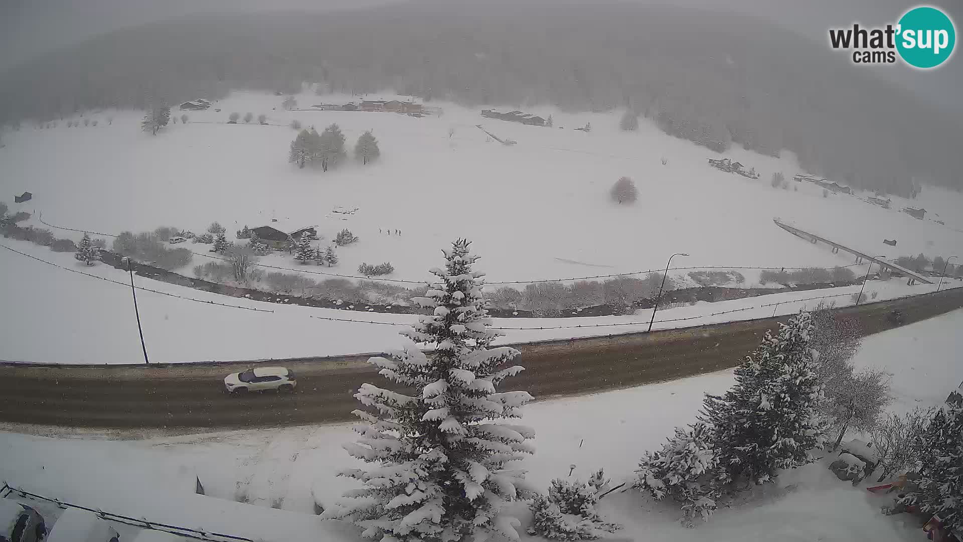 Webcam Livigno Hotel Primula