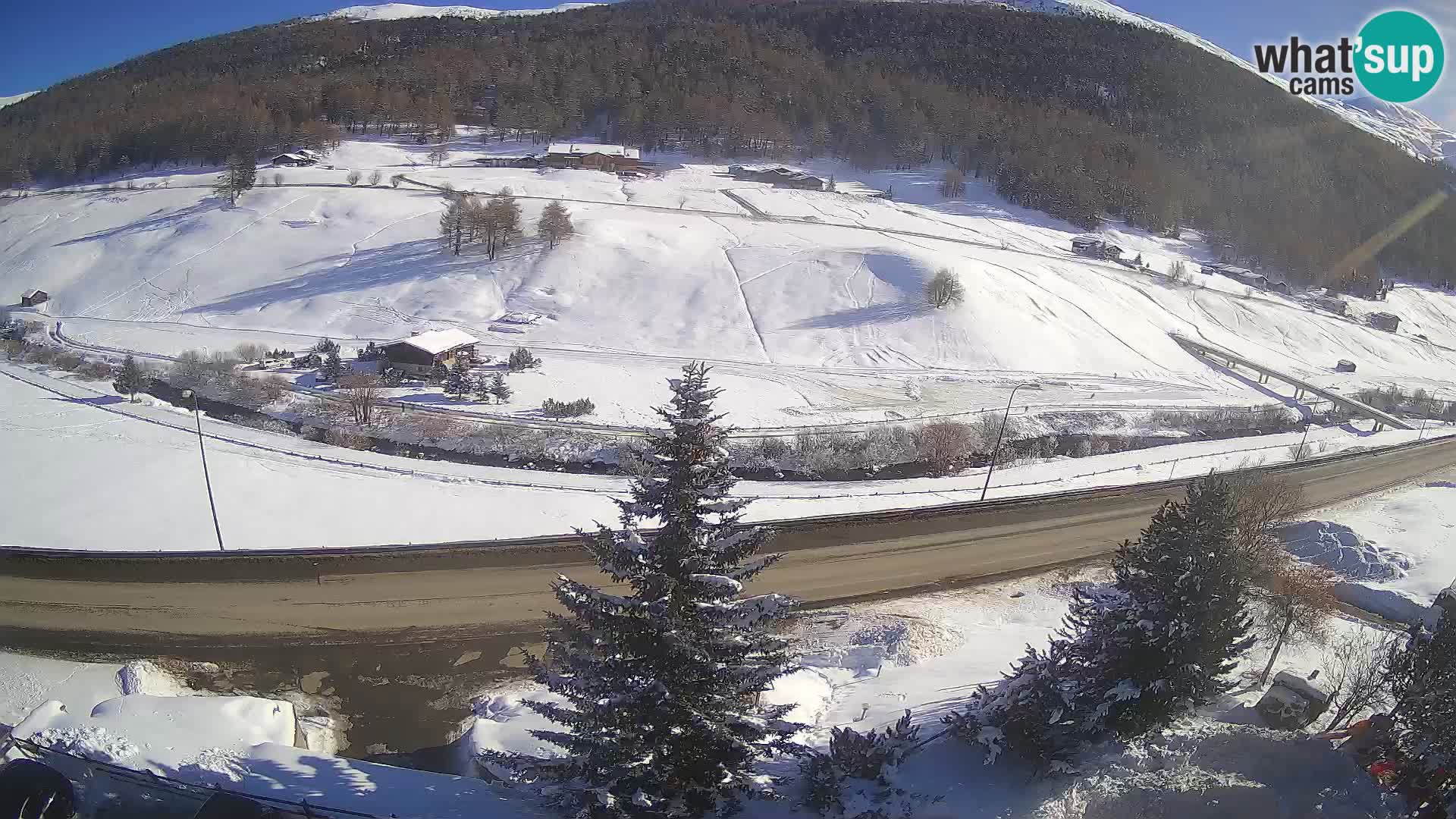 Webcam Livigno Hotel Primula