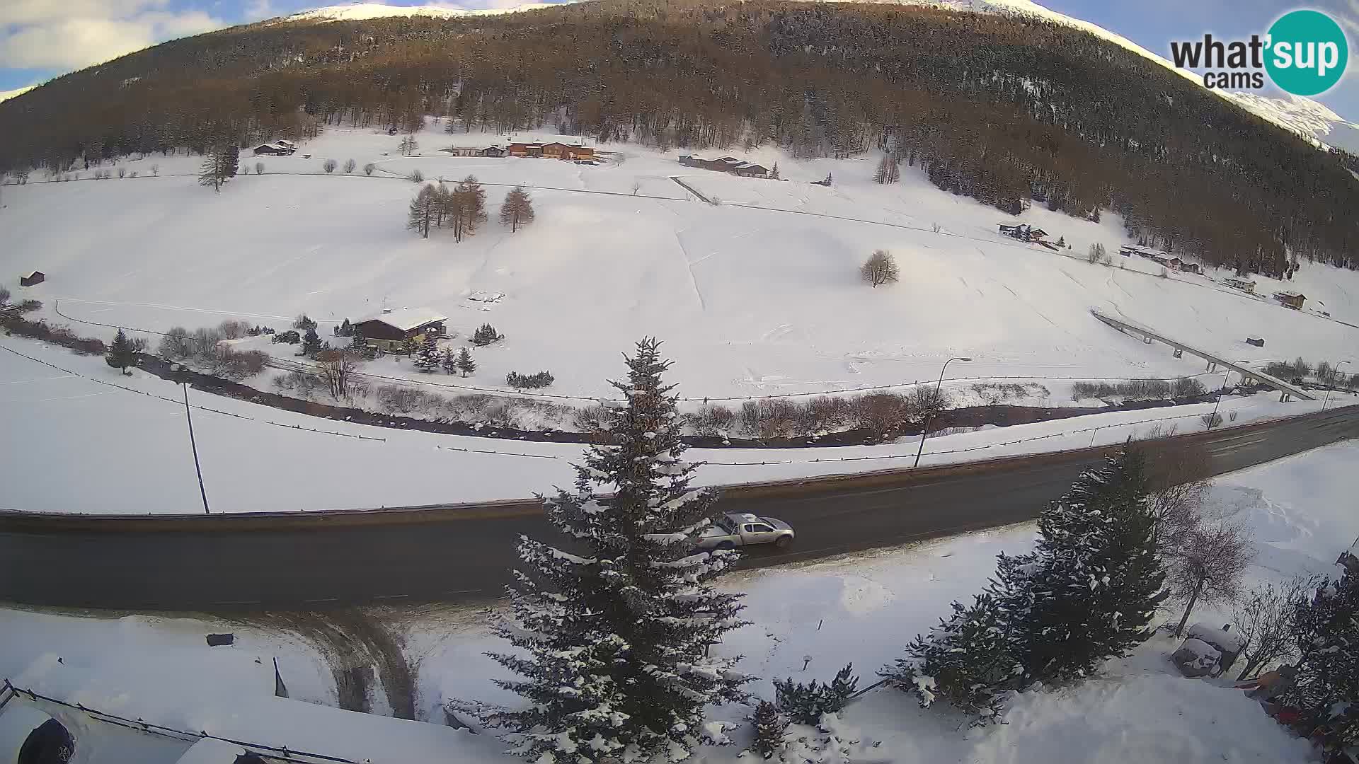 Webcam Livigno Hotel Primula