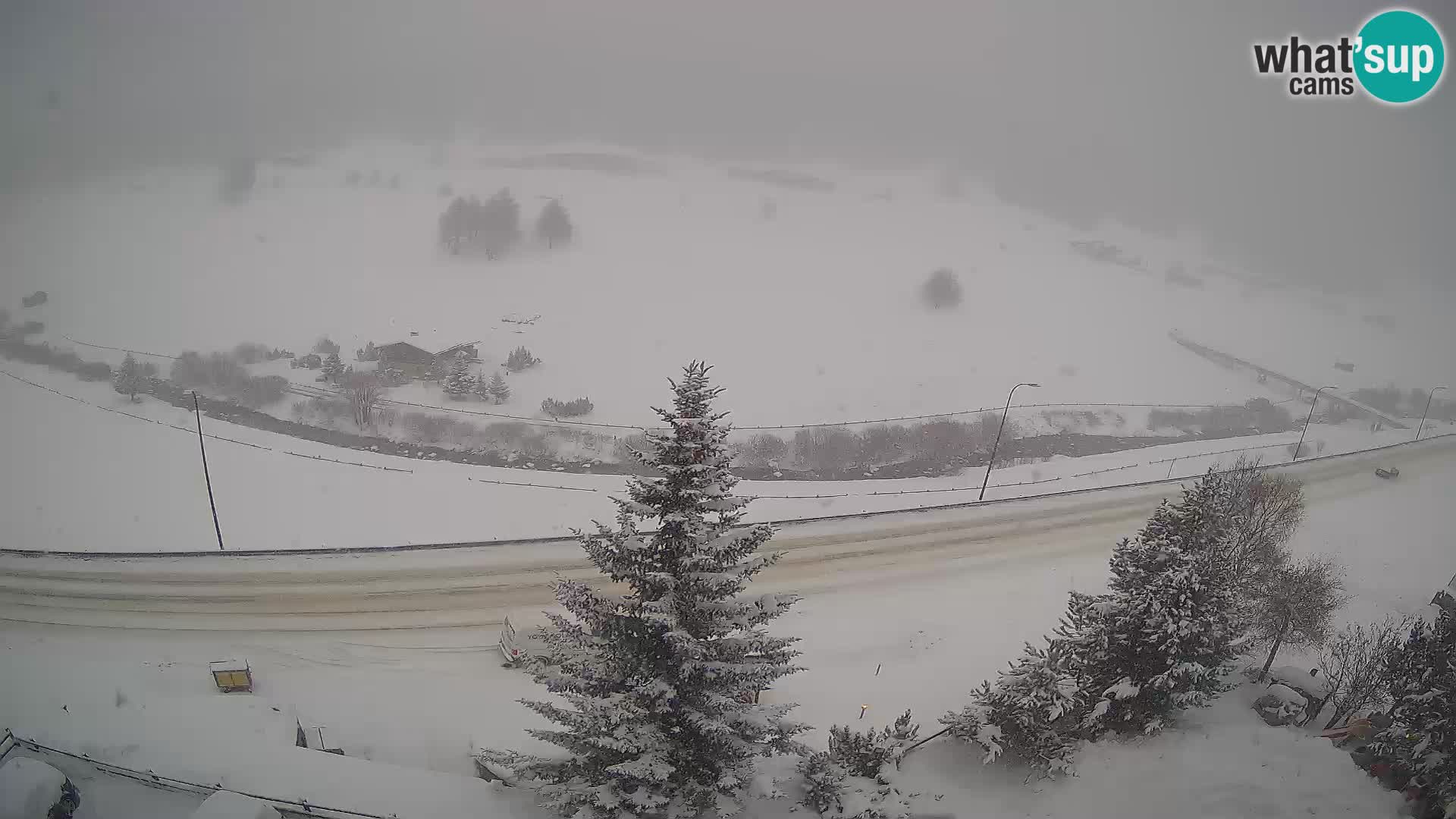 Livigno web kamera Hotel Primula