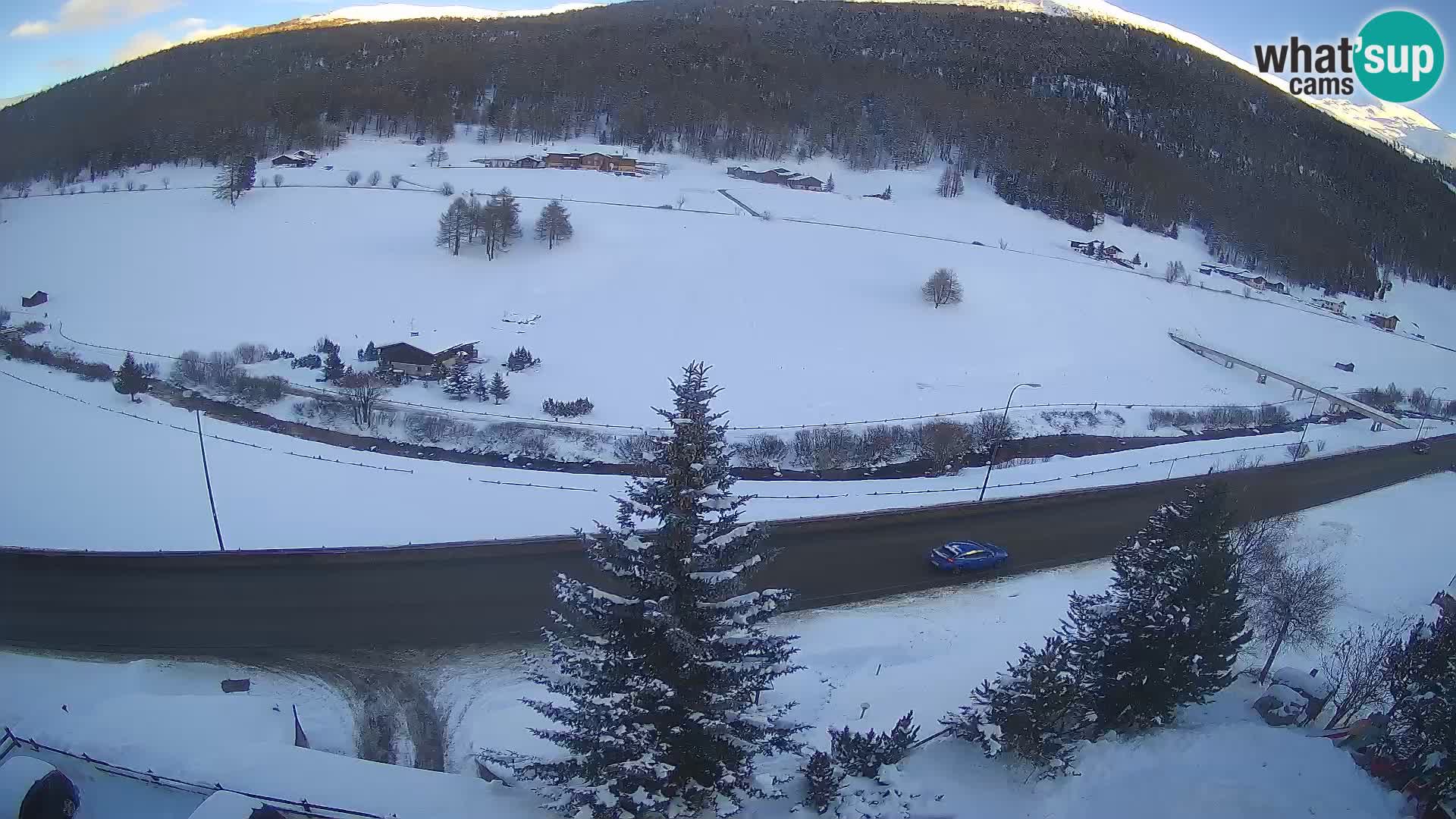 Livigno webcam LIVE Hotel Primula