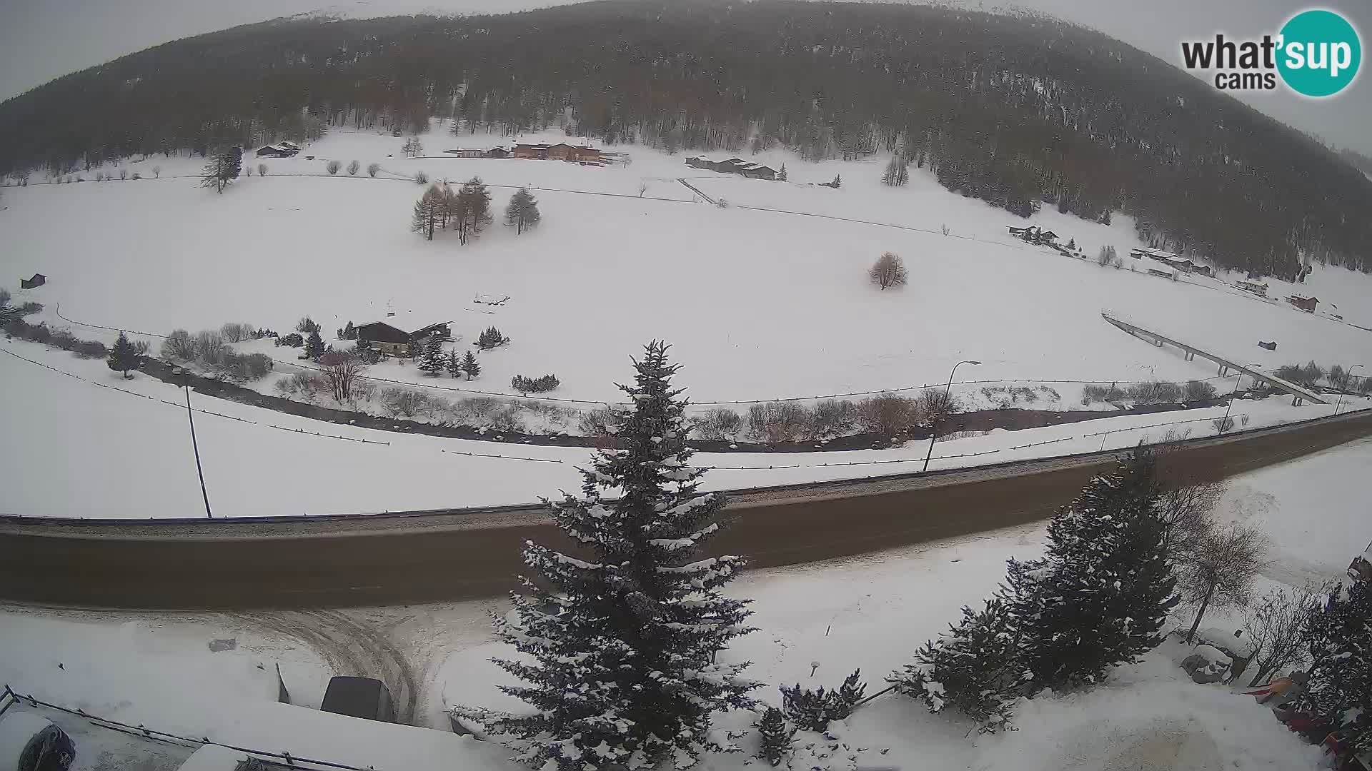 Webcam Livigno Hotel Primula