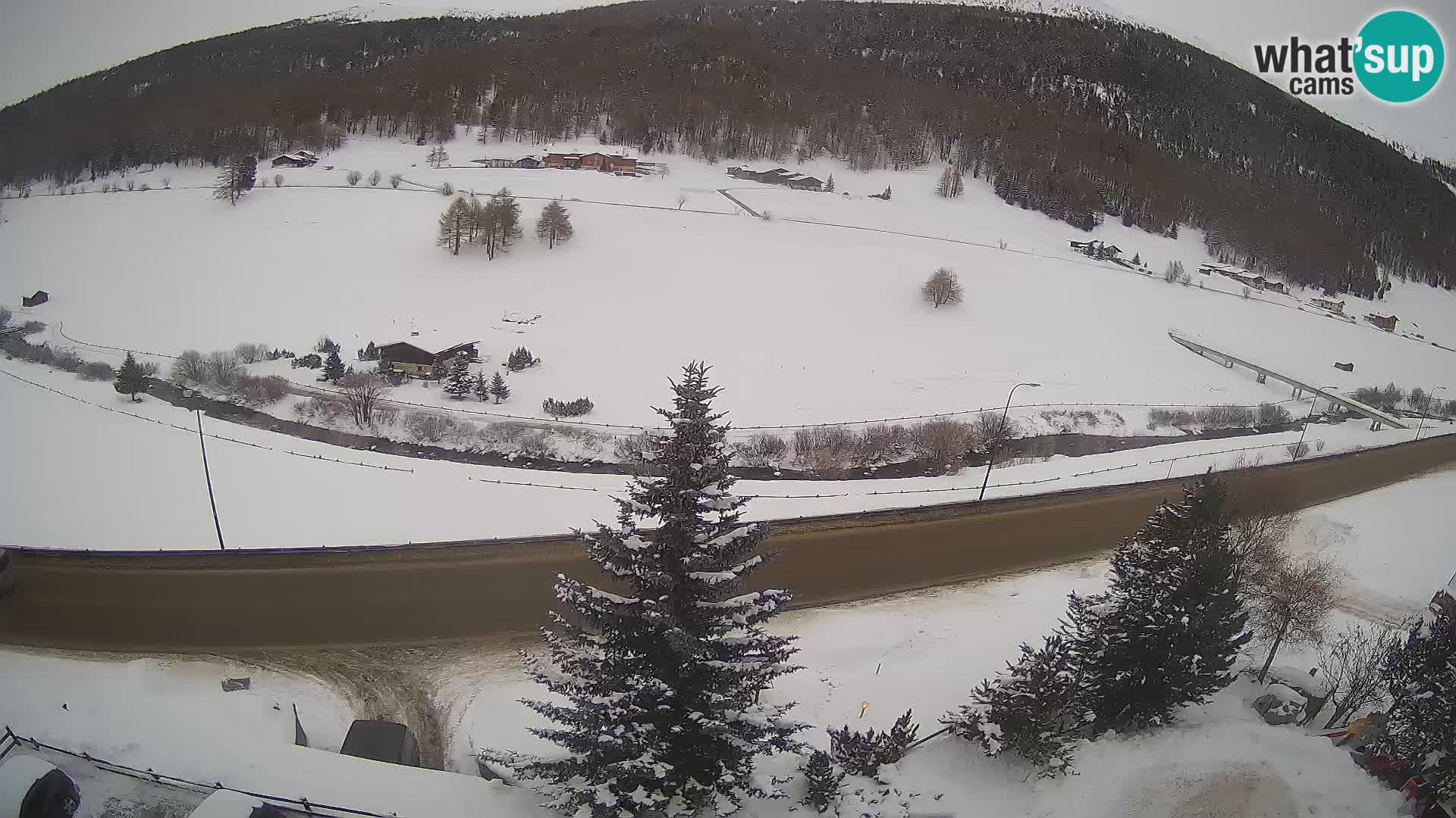 Webcam Livigno Hotel Primula