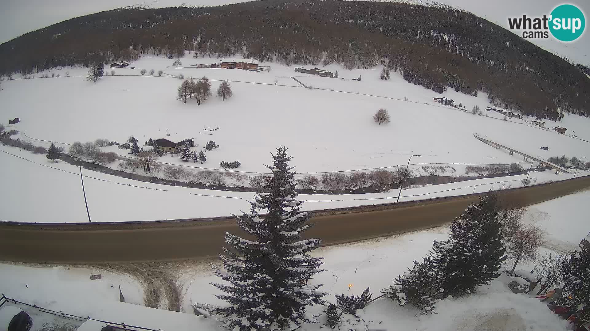 Livigno webcam LIVE Hotel Primula
