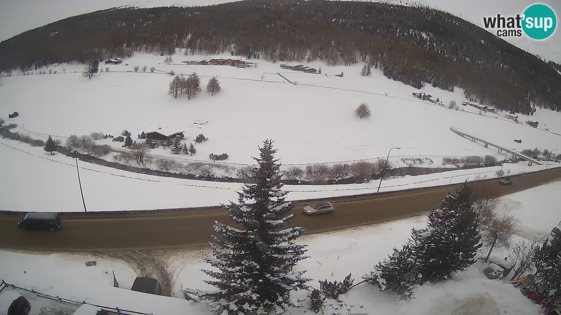 Webcam Livigno Hotel Primula