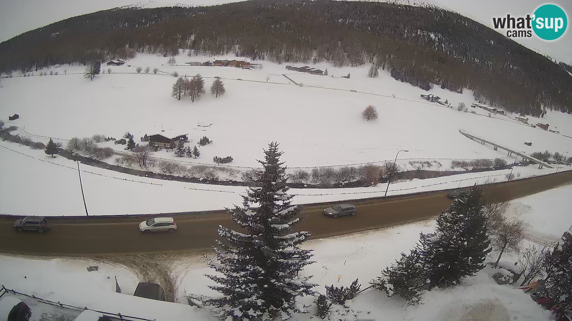 Webcam Livigno Hotel Primula