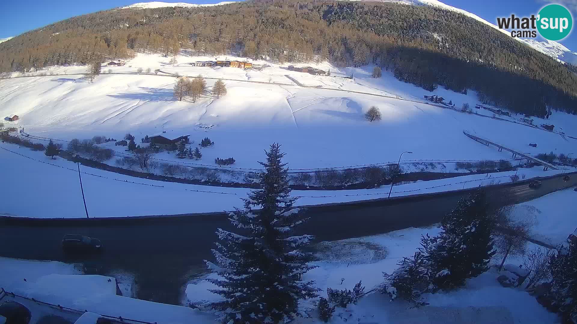 Web Cam Livigno | Hotel Primula
