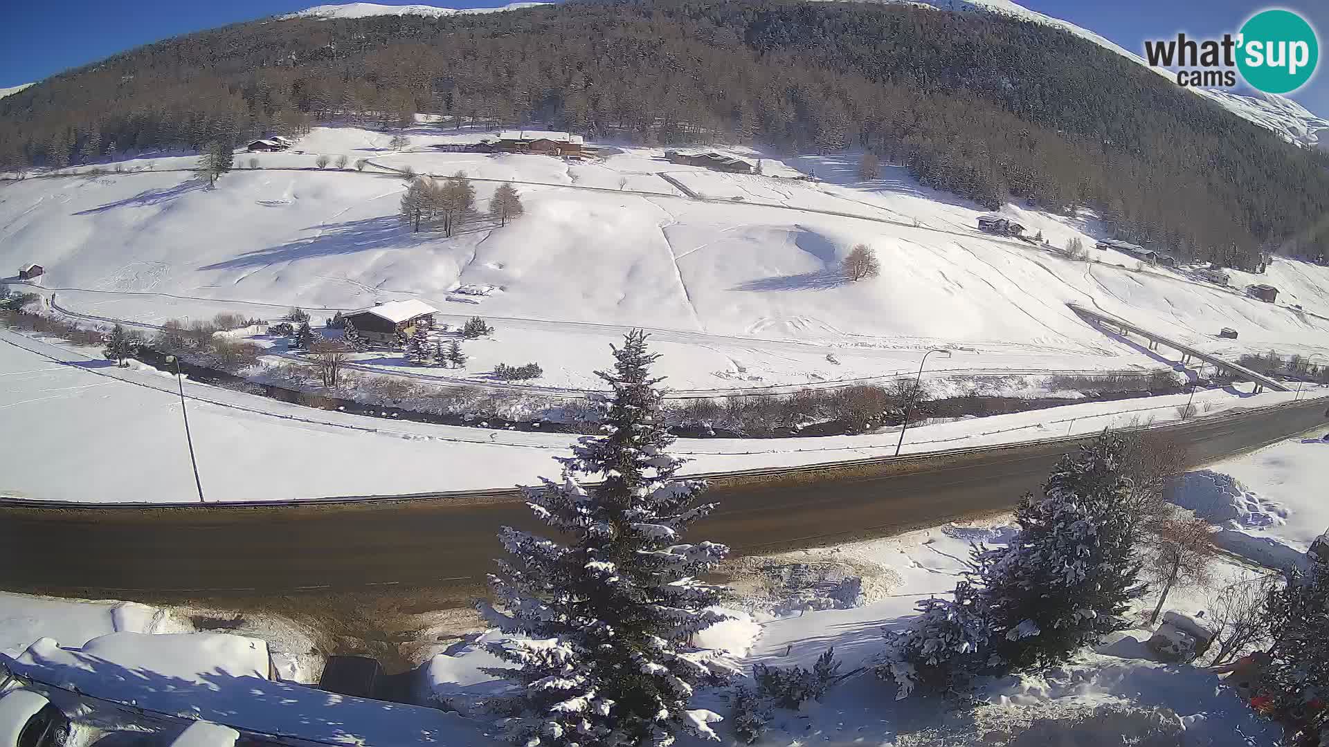 Webcam Livigno Hotel Primula