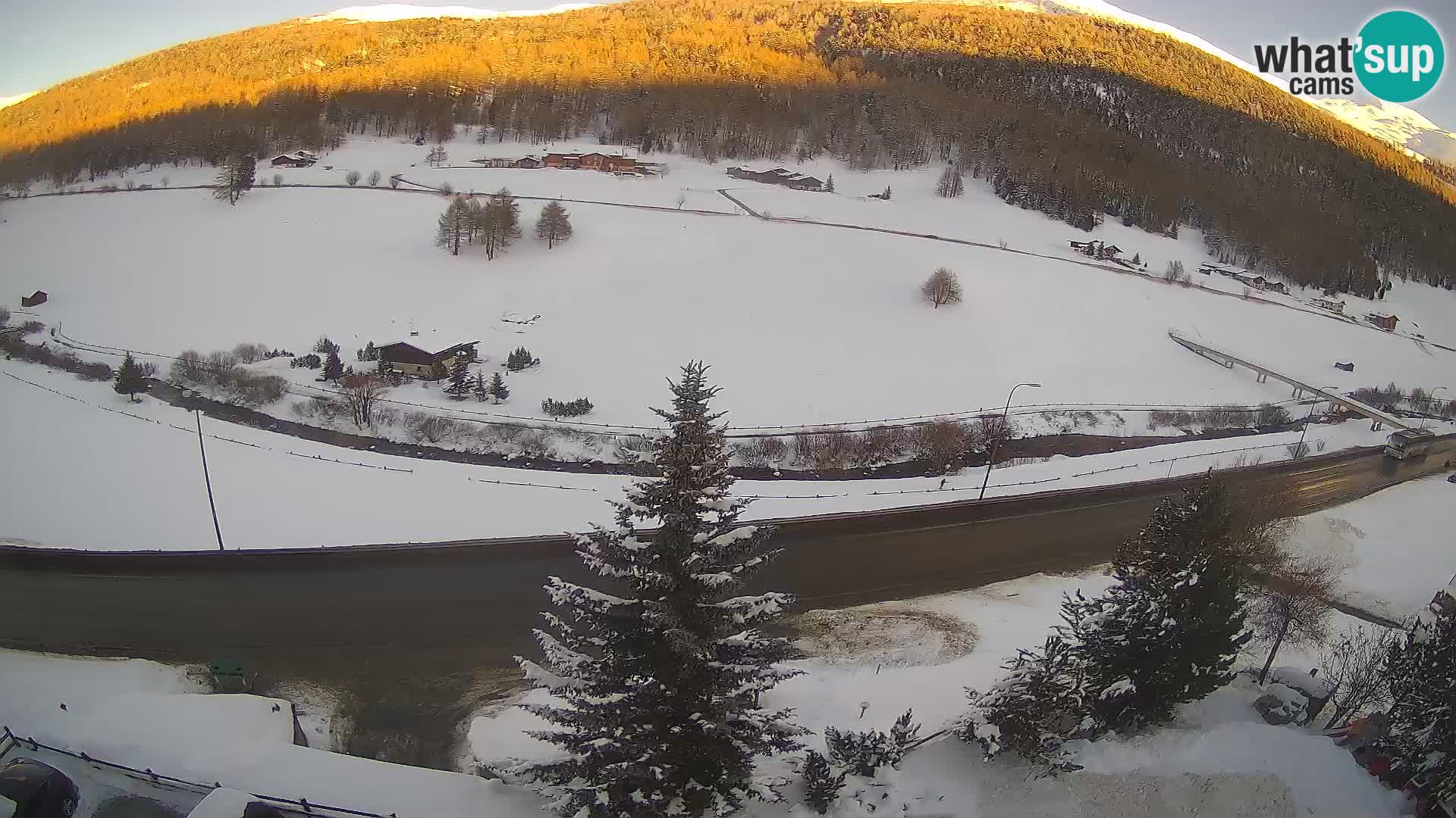 Livigno web kamera Hotel Primula