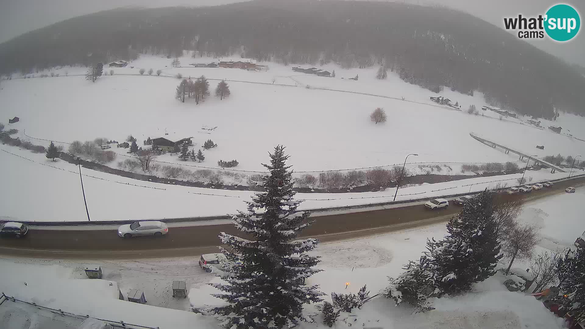 Webcam Livigno Hotel Primula