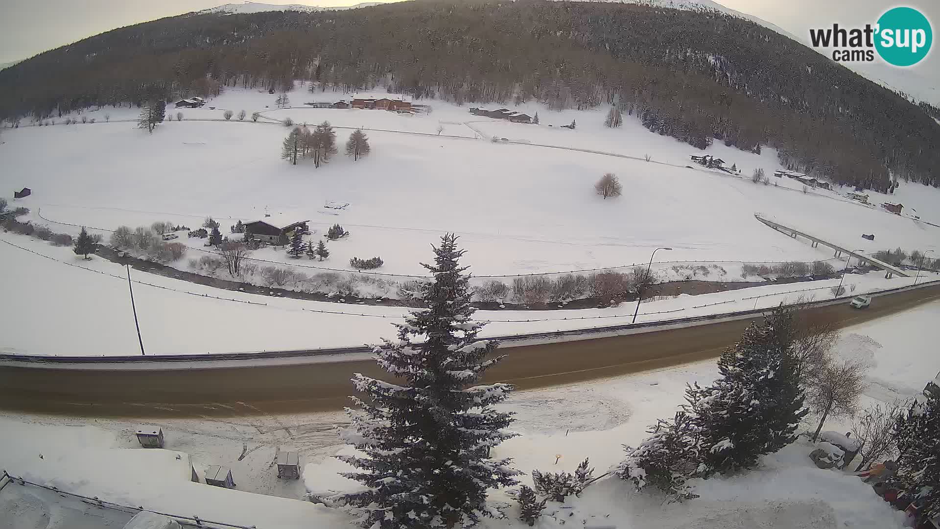 Webcam Livigno Hotel Primula