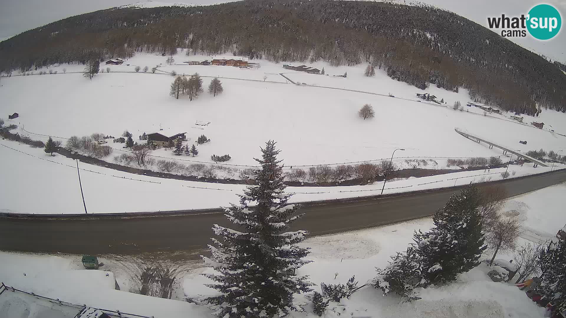 Livigno webcam LIVE Hotel Primula