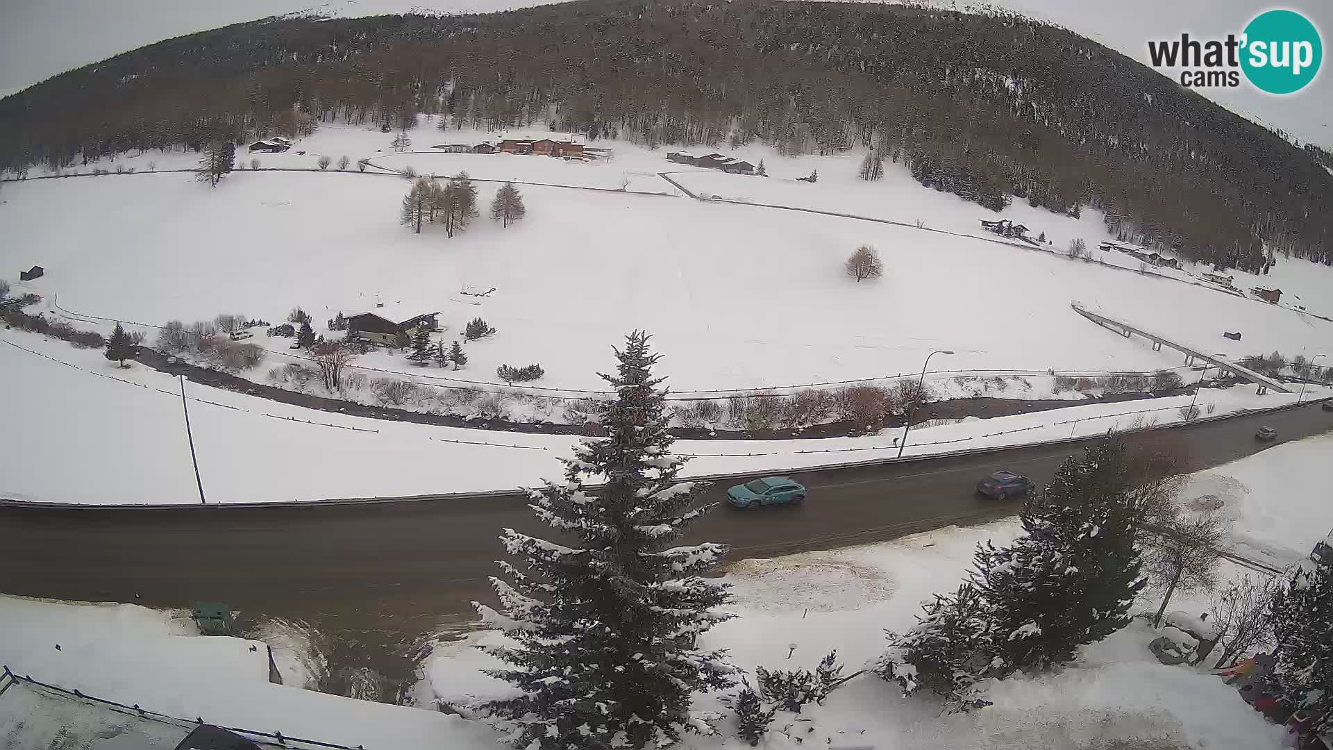 Livigno webcam LIVE Hotel Primula