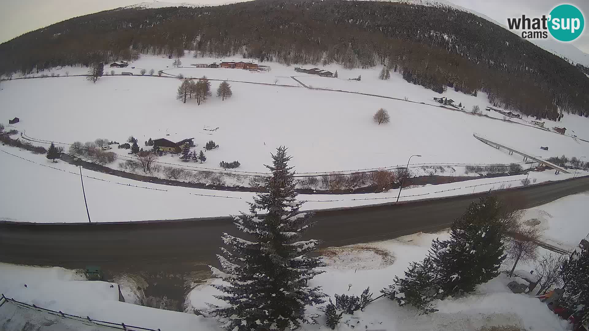 Webcam Livigno Hotel Primula