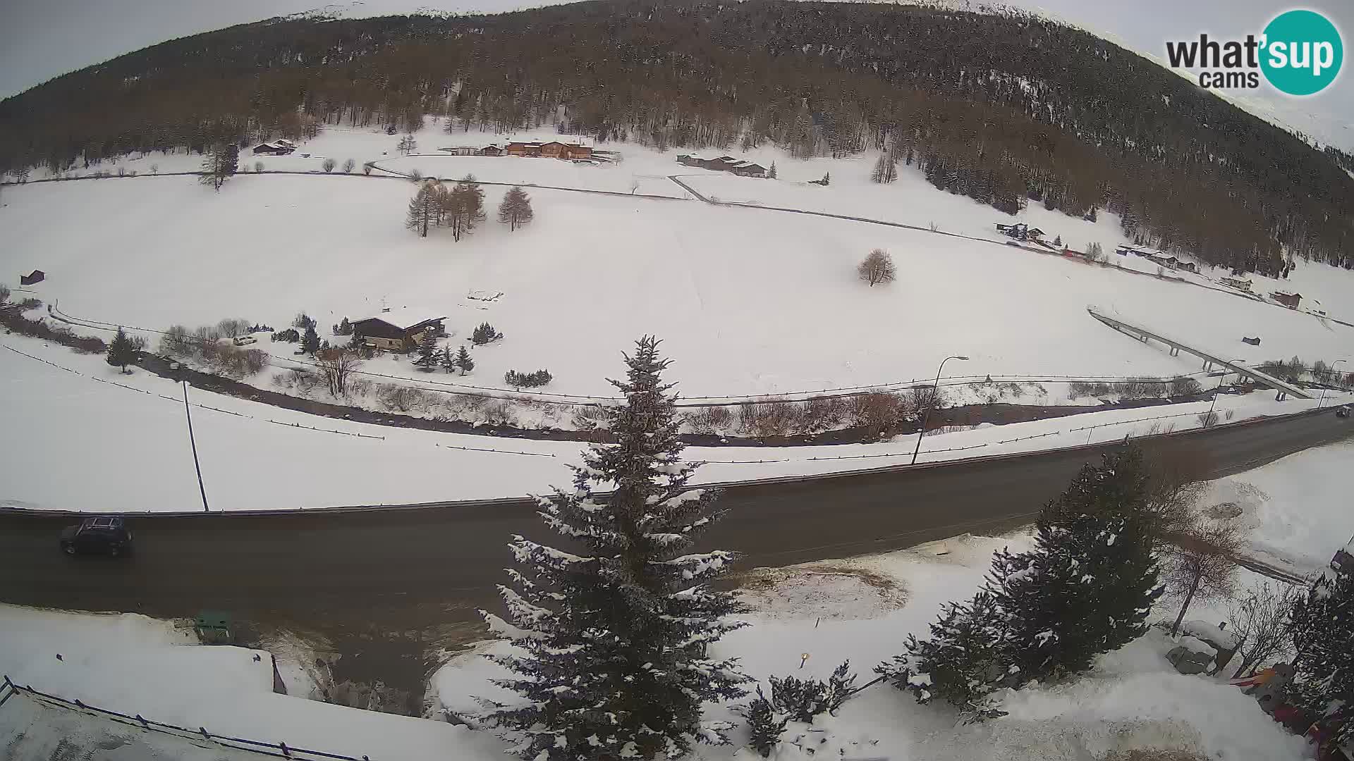 Livigno webcam LIVE Hotel Primula