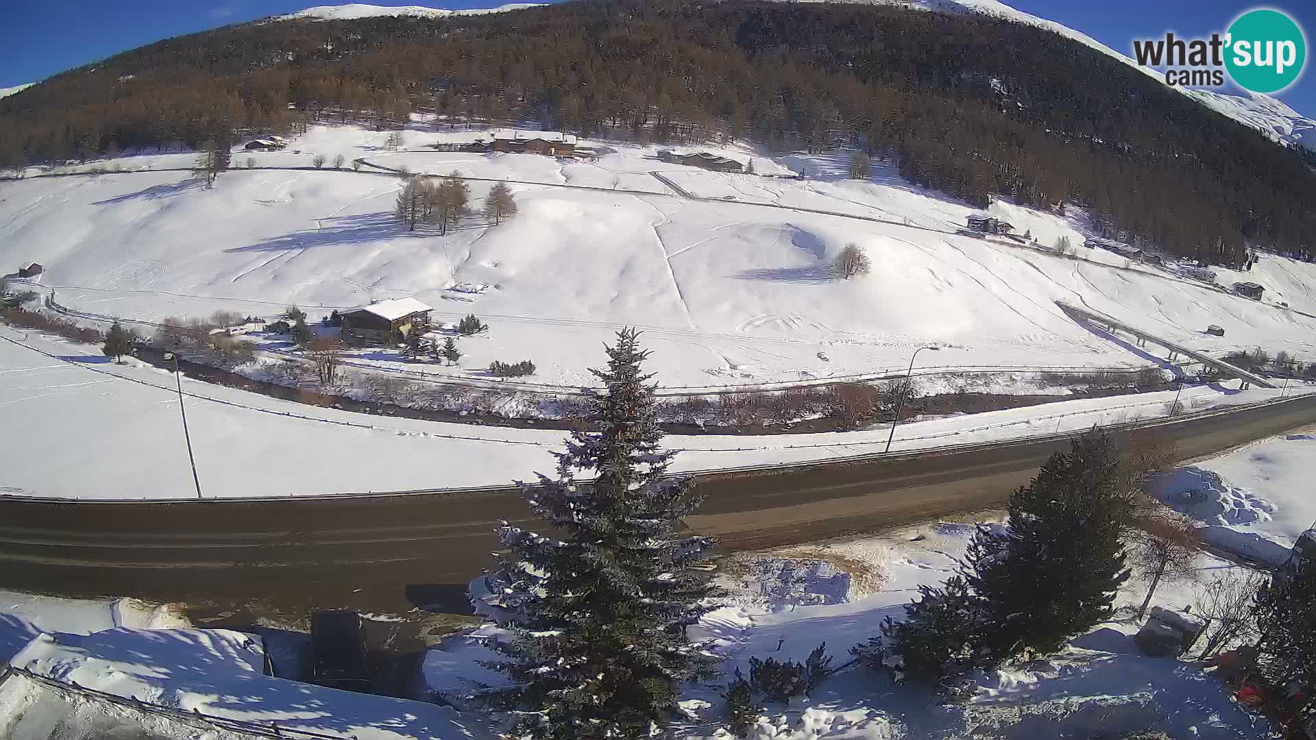 Livigno Cam Hotel Primula | Livigno smučišče