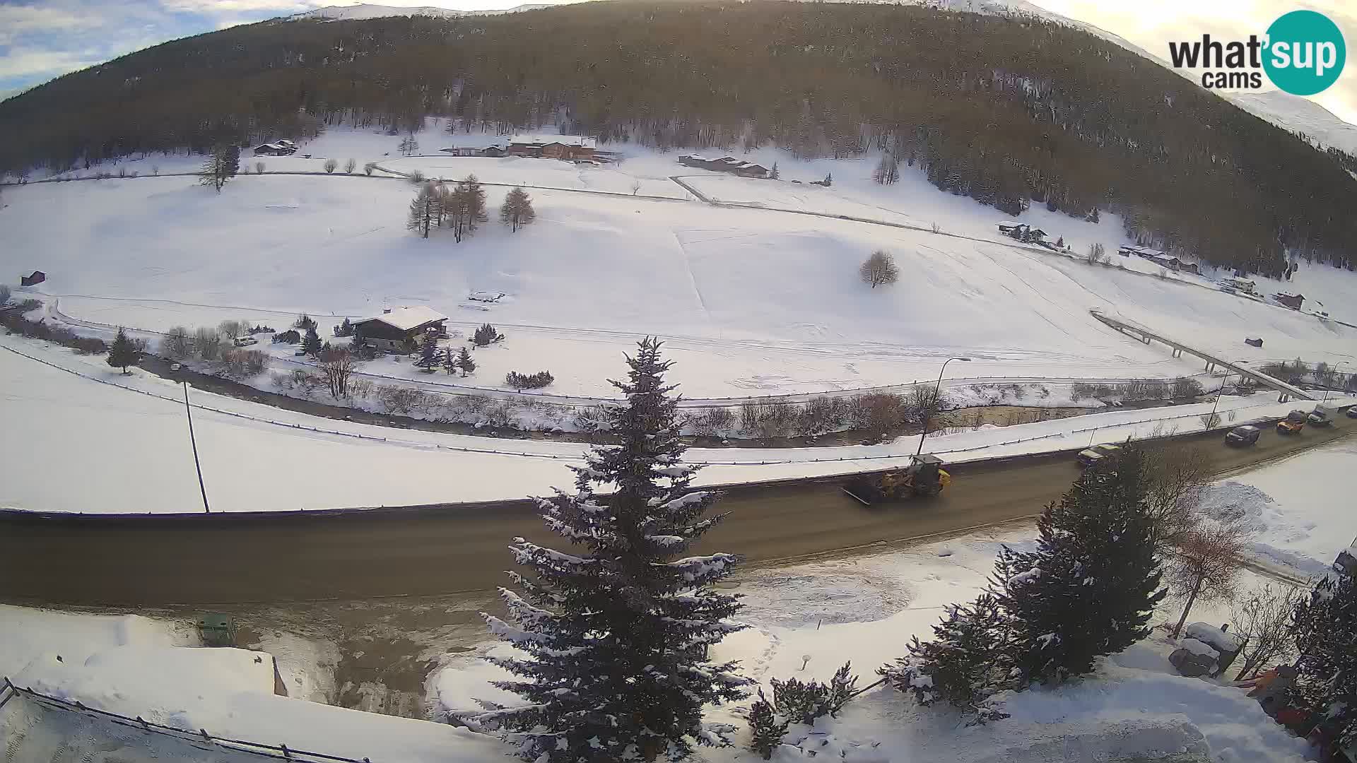 Webcam Livigno Hotel Primula