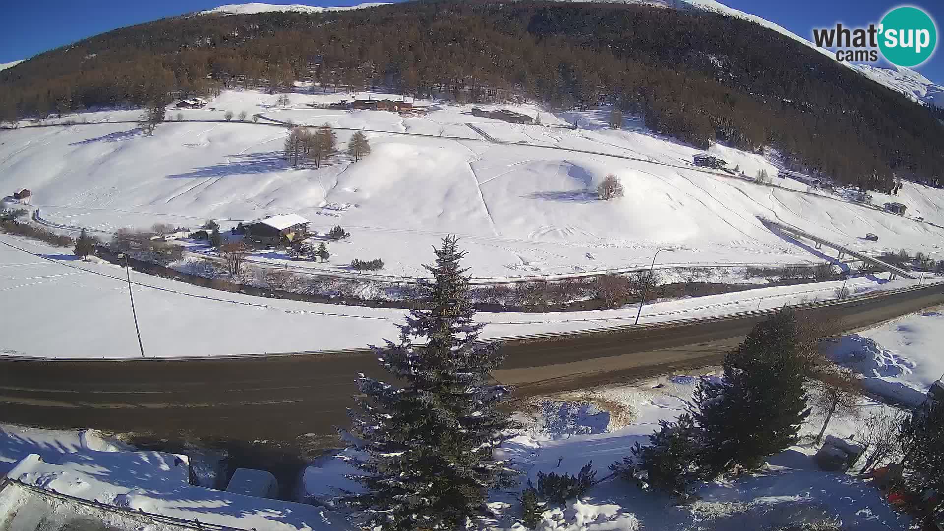 Livigno webcam LIVE Hotel Primula