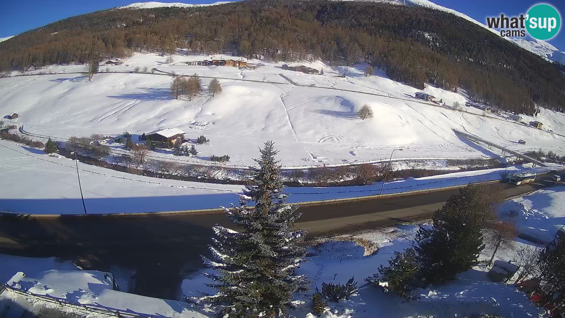 Livigno Cam Hotel Primula | Livigno smučišče