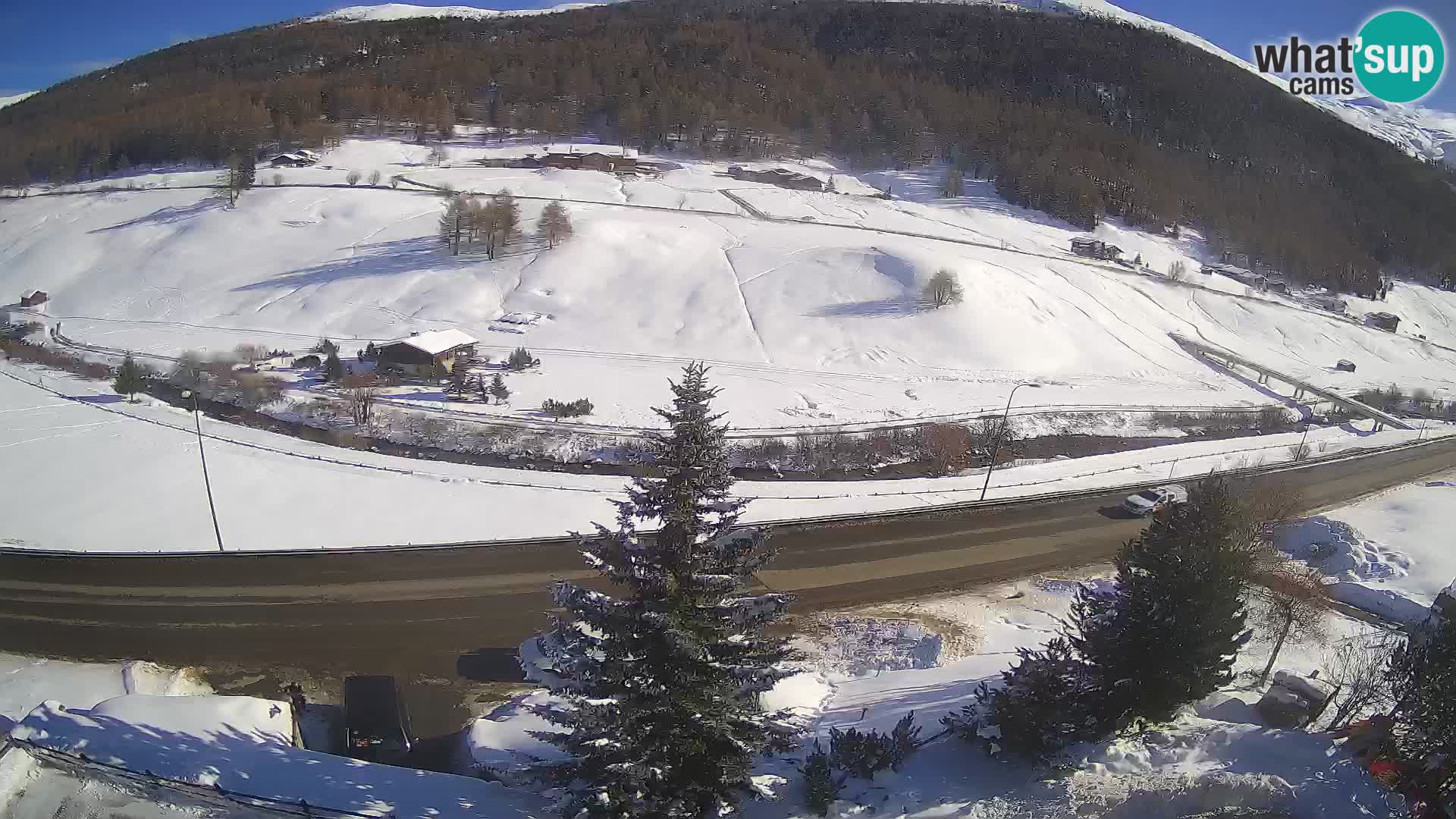 Livigno webcam LIVE Hotel Primula