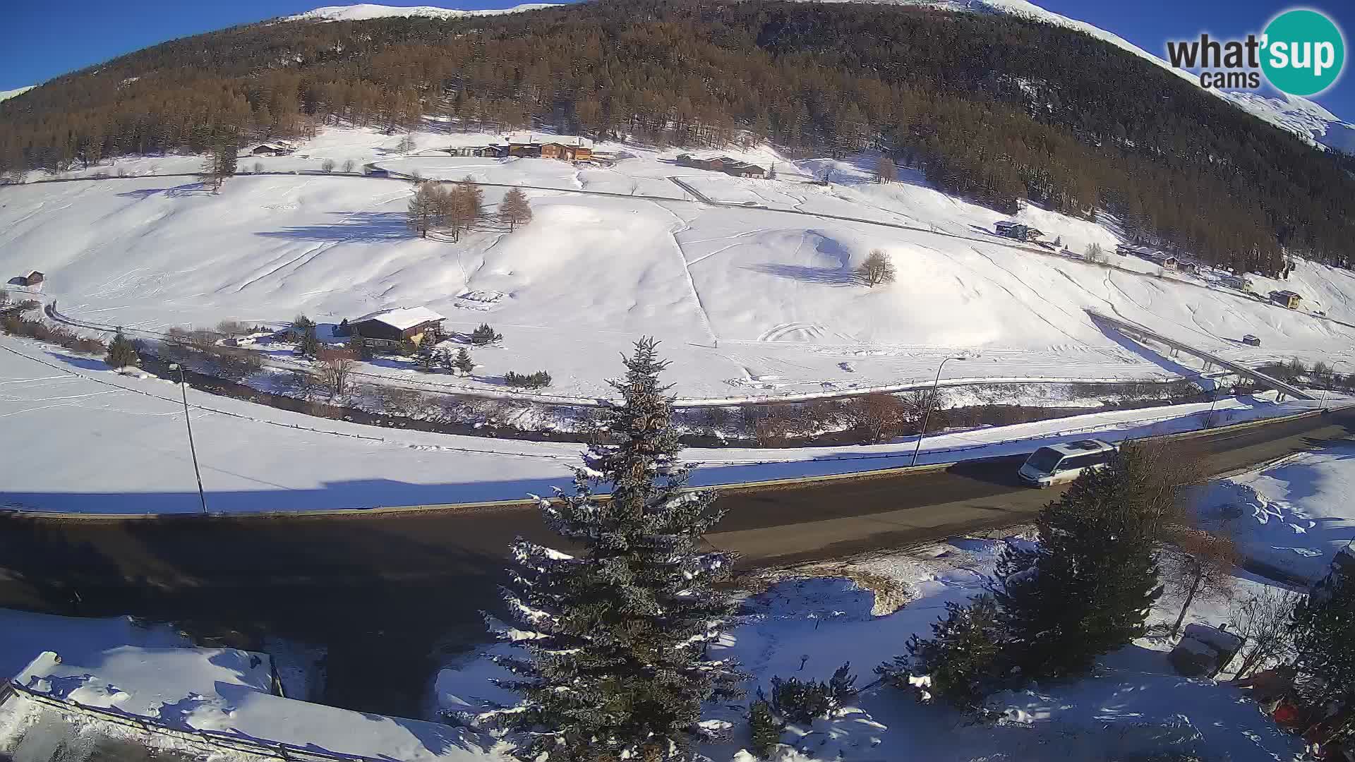 Livigno Cam Hotel Primula | Livigno smučišče