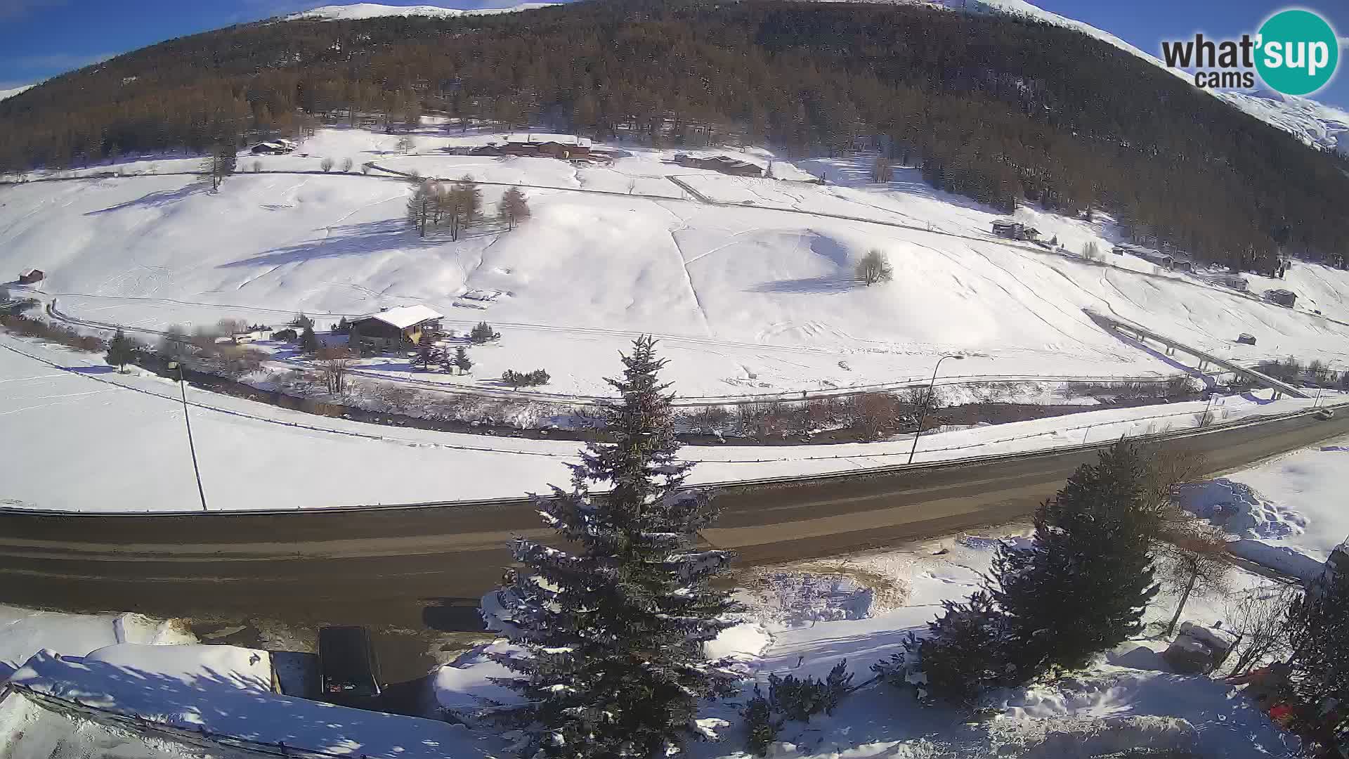 Web Cam Livigno | Hotel Primula