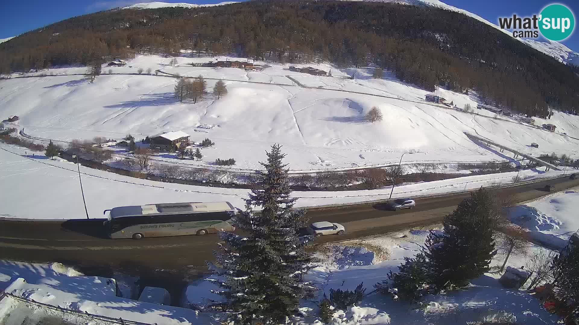 Webcam Livigno Hotel Primula