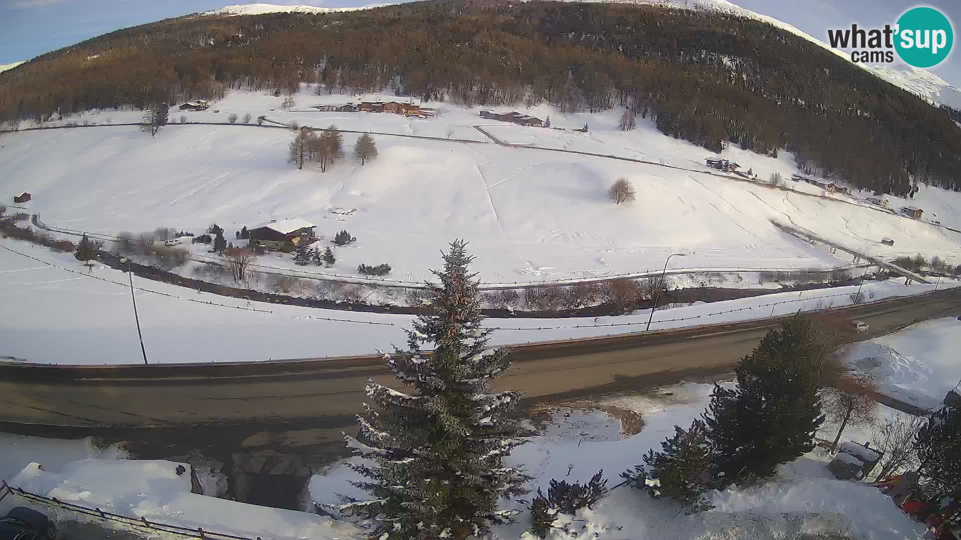 Web Cam Livigno | Hotel Primula