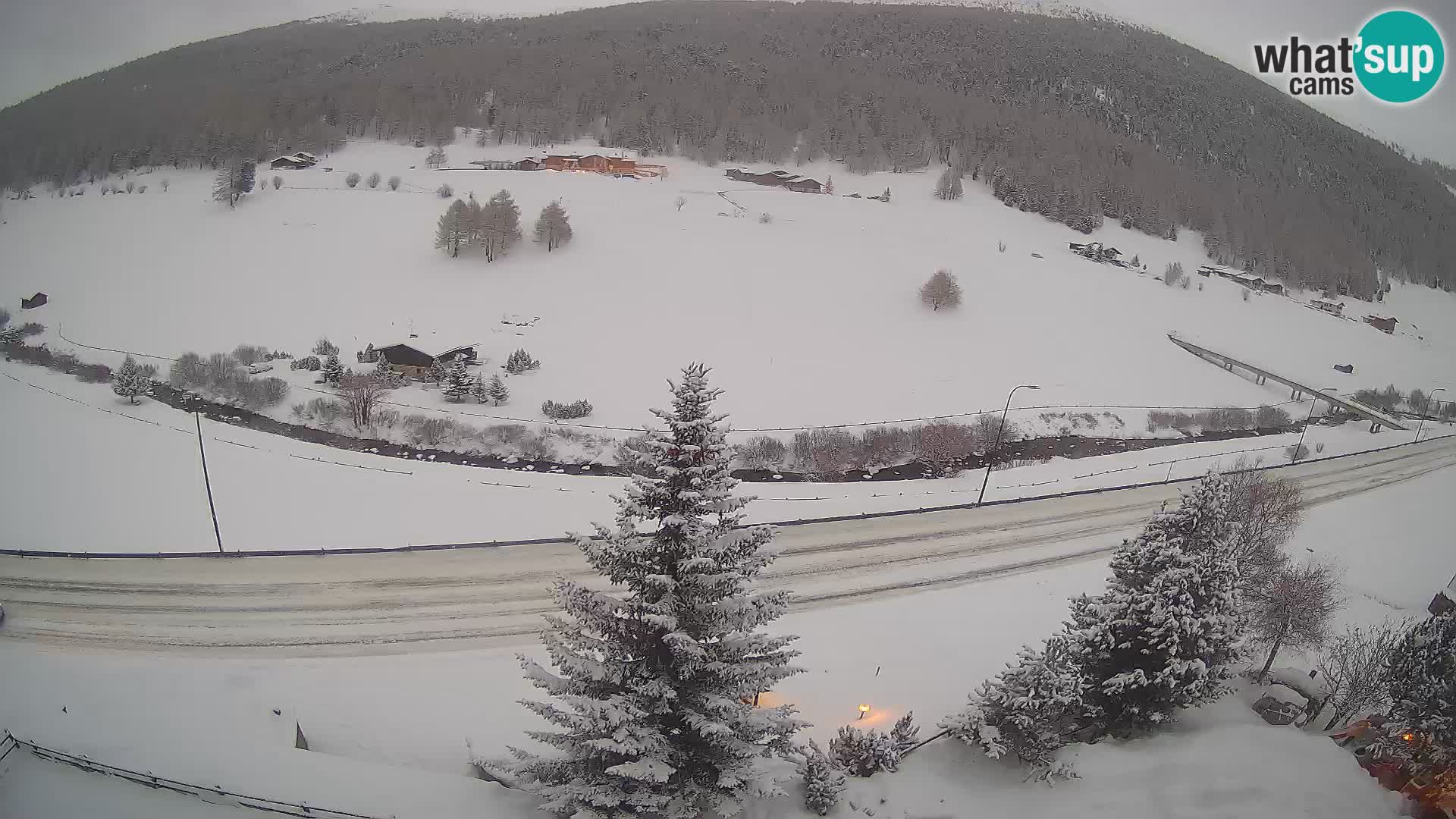 Livigno web kamera Hotel Primula