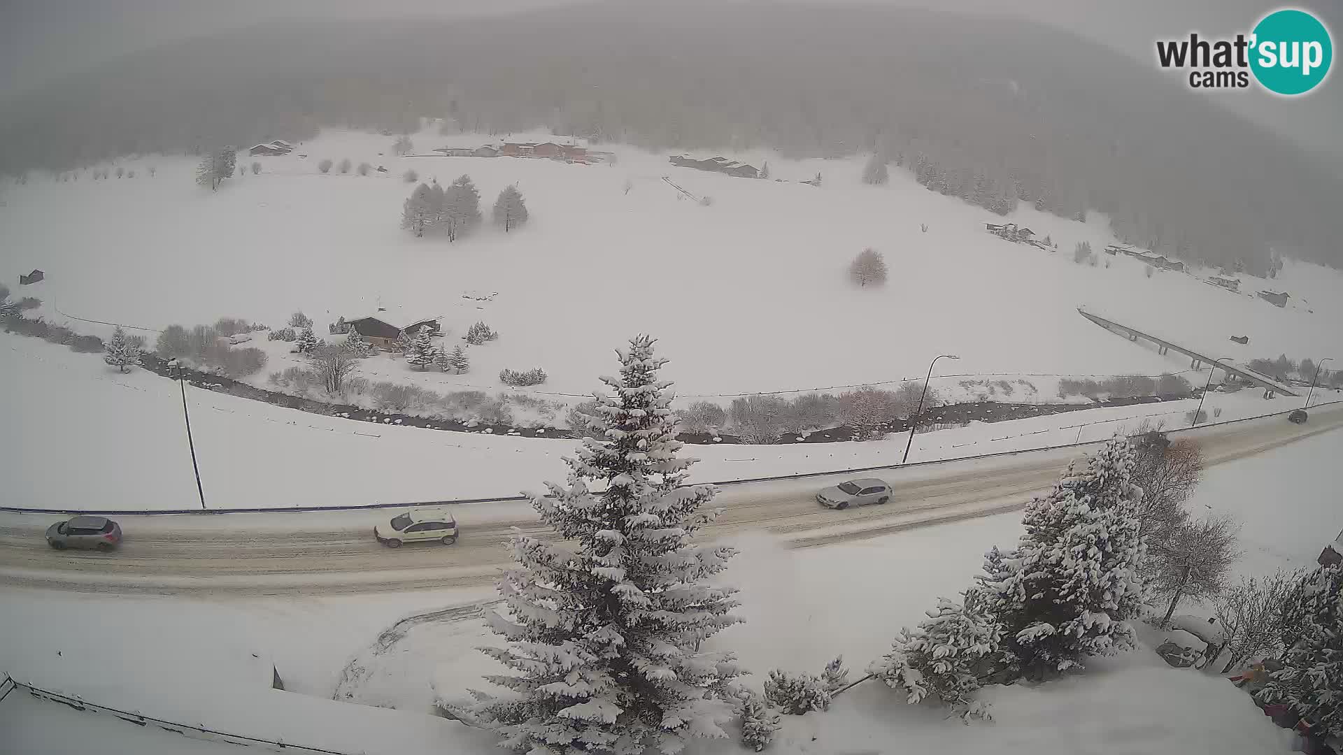 Camera Livigno Hotel Primula | ESQUIAR