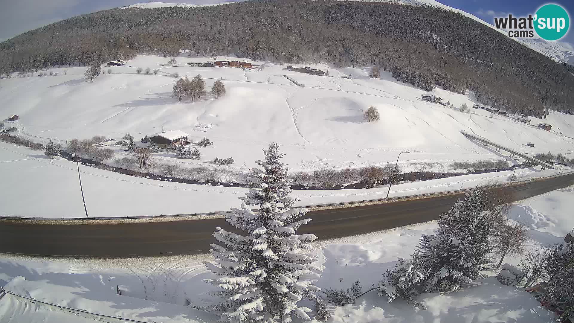 Livigno webcam LIVE Hotel Primula