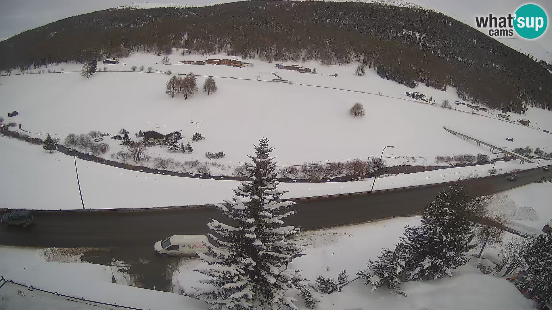 Livigno Cam Hotel Primula | Livigno smučišče