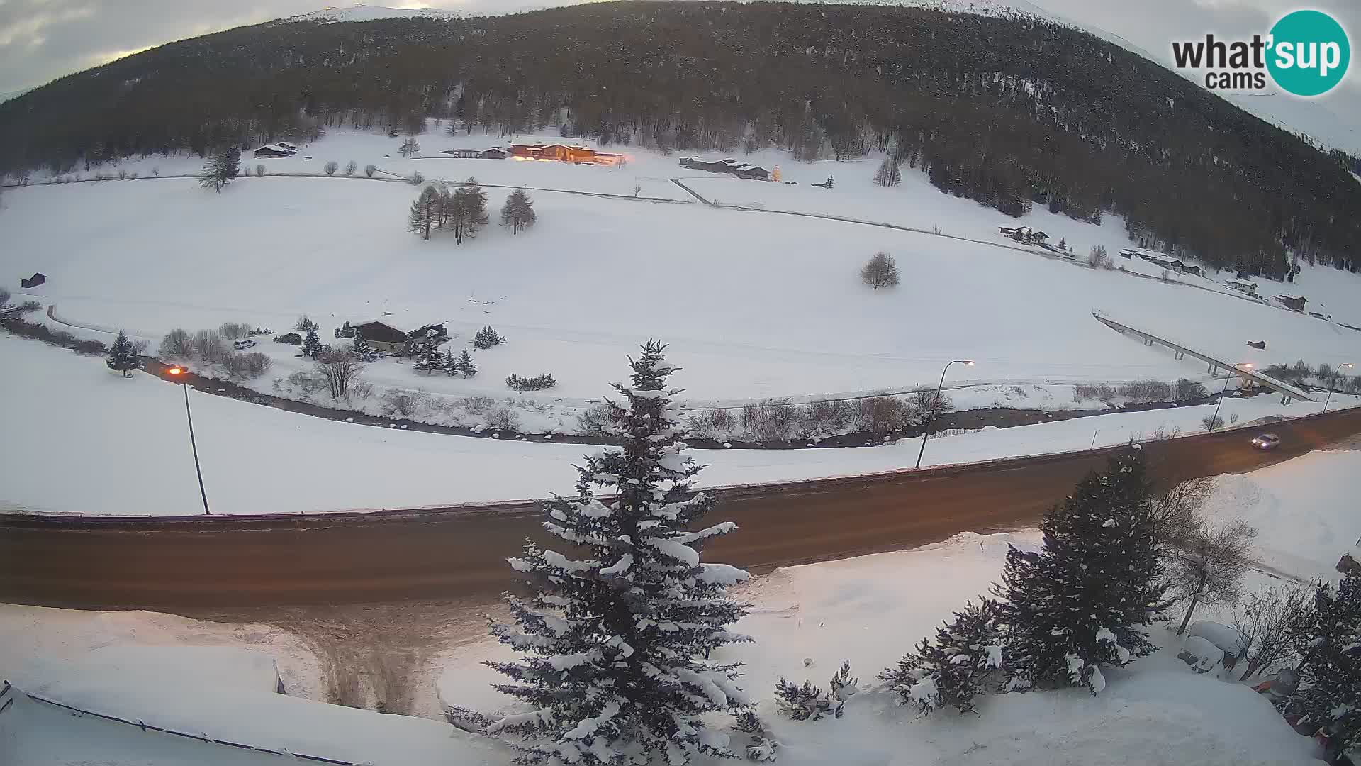 Webcam Livigno Hotel Primula