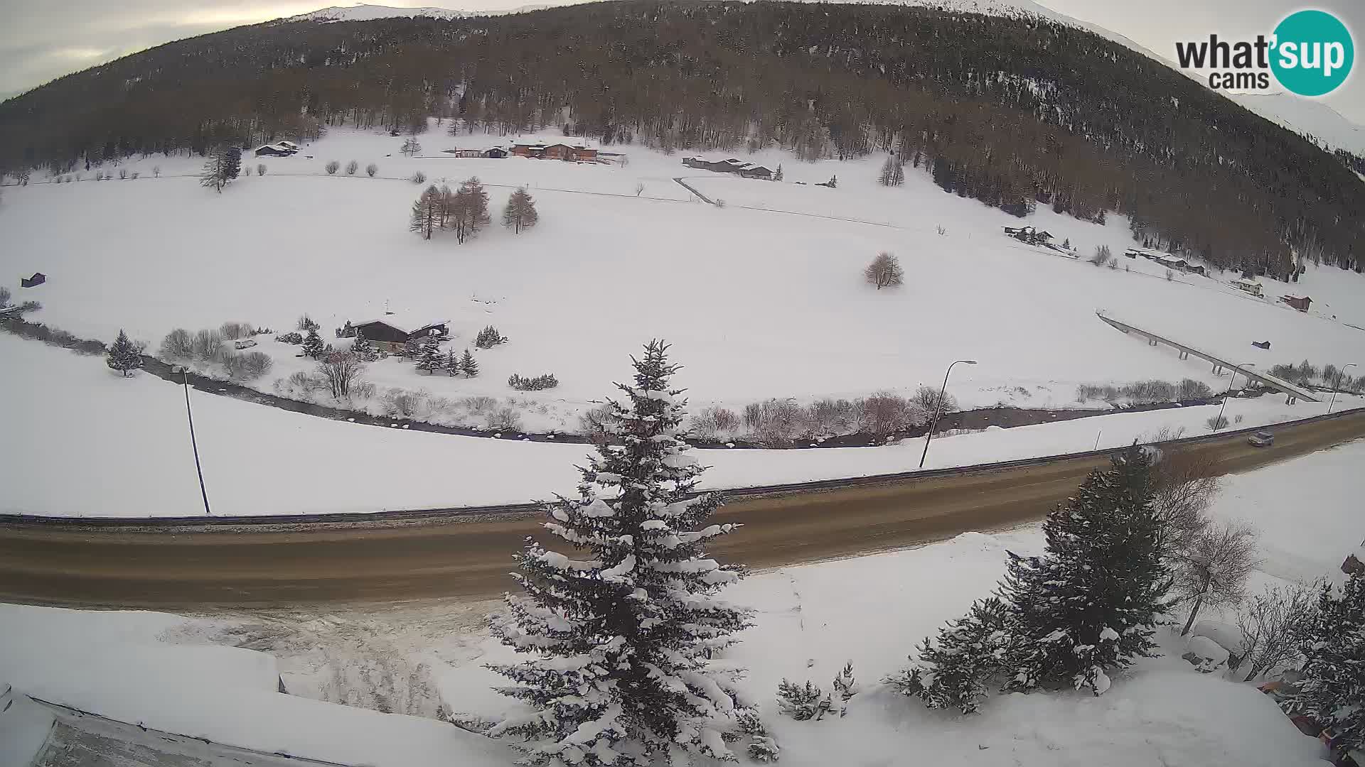 Webcam Livigno Hotel Primula