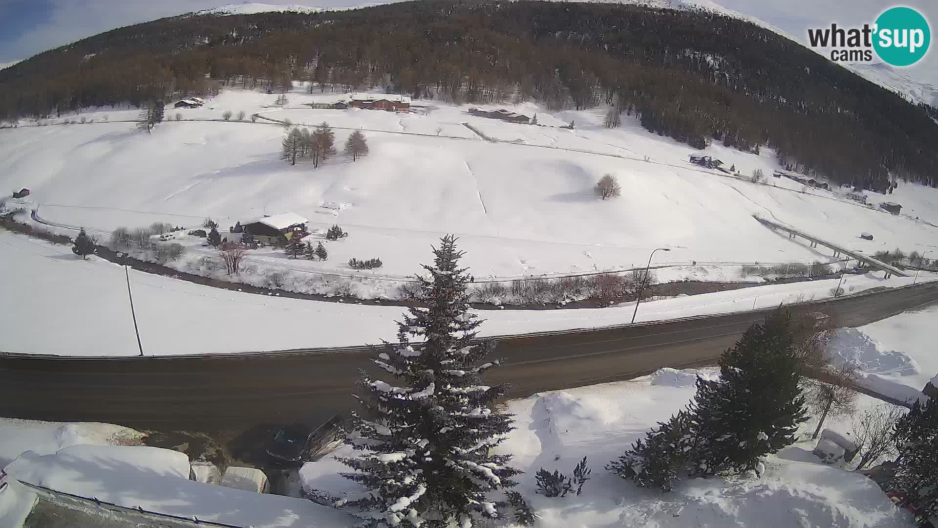 Livigno Cam Hotel Primula | Livigno smučišče