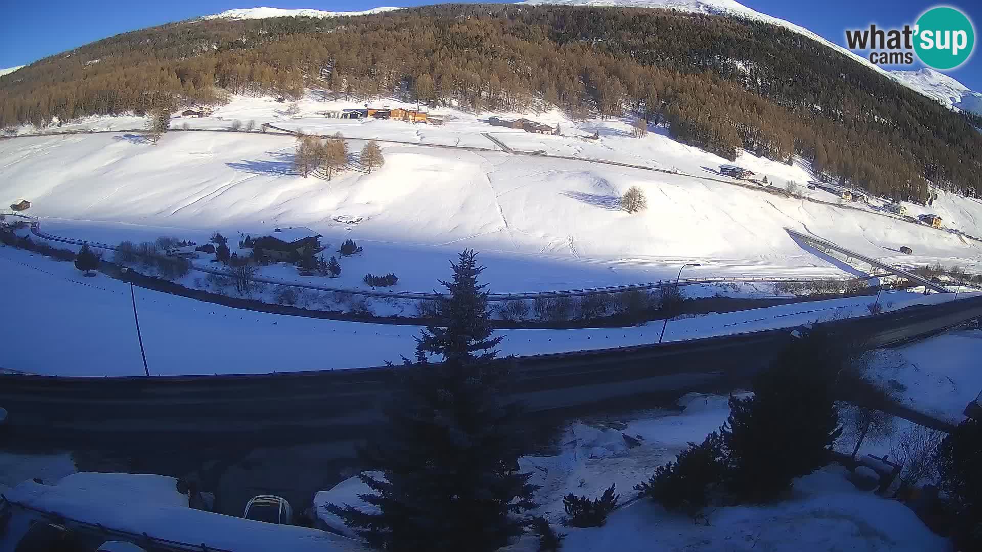 Webcam Livigno Hotel Primula