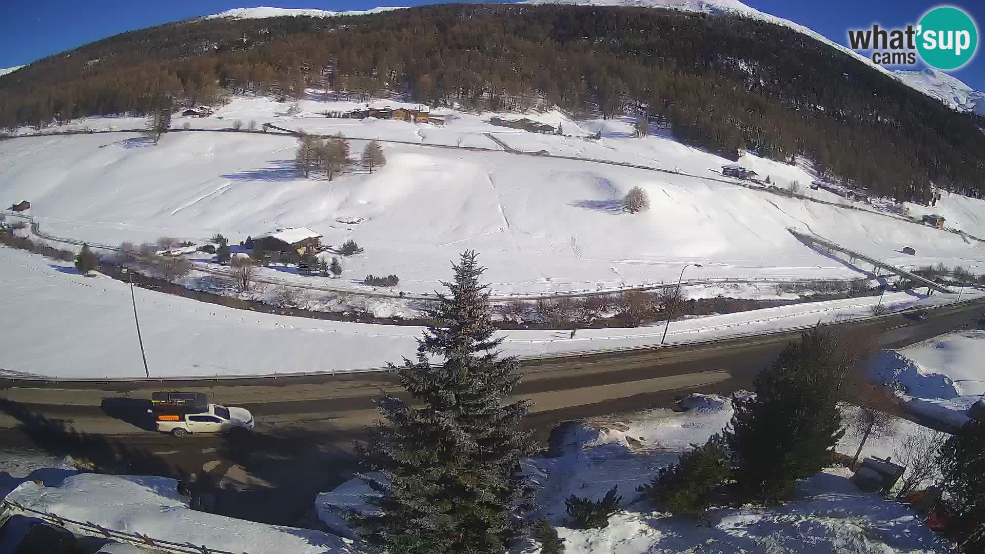 Livigno Cam Hotel Primula | Livigno smučišče