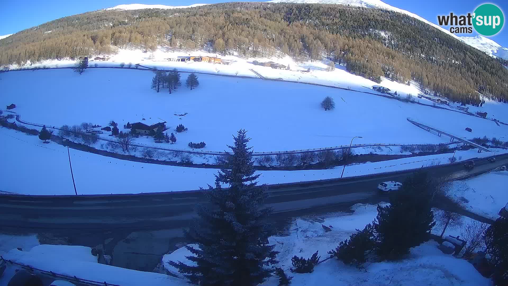 Camera Livigno Hotel Primula | ESQUIAR