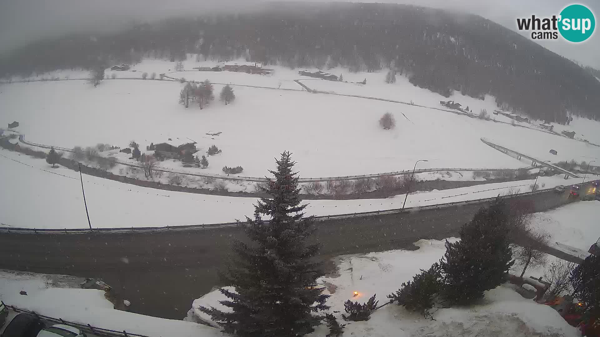 Livigno web kamera Hotel Primula