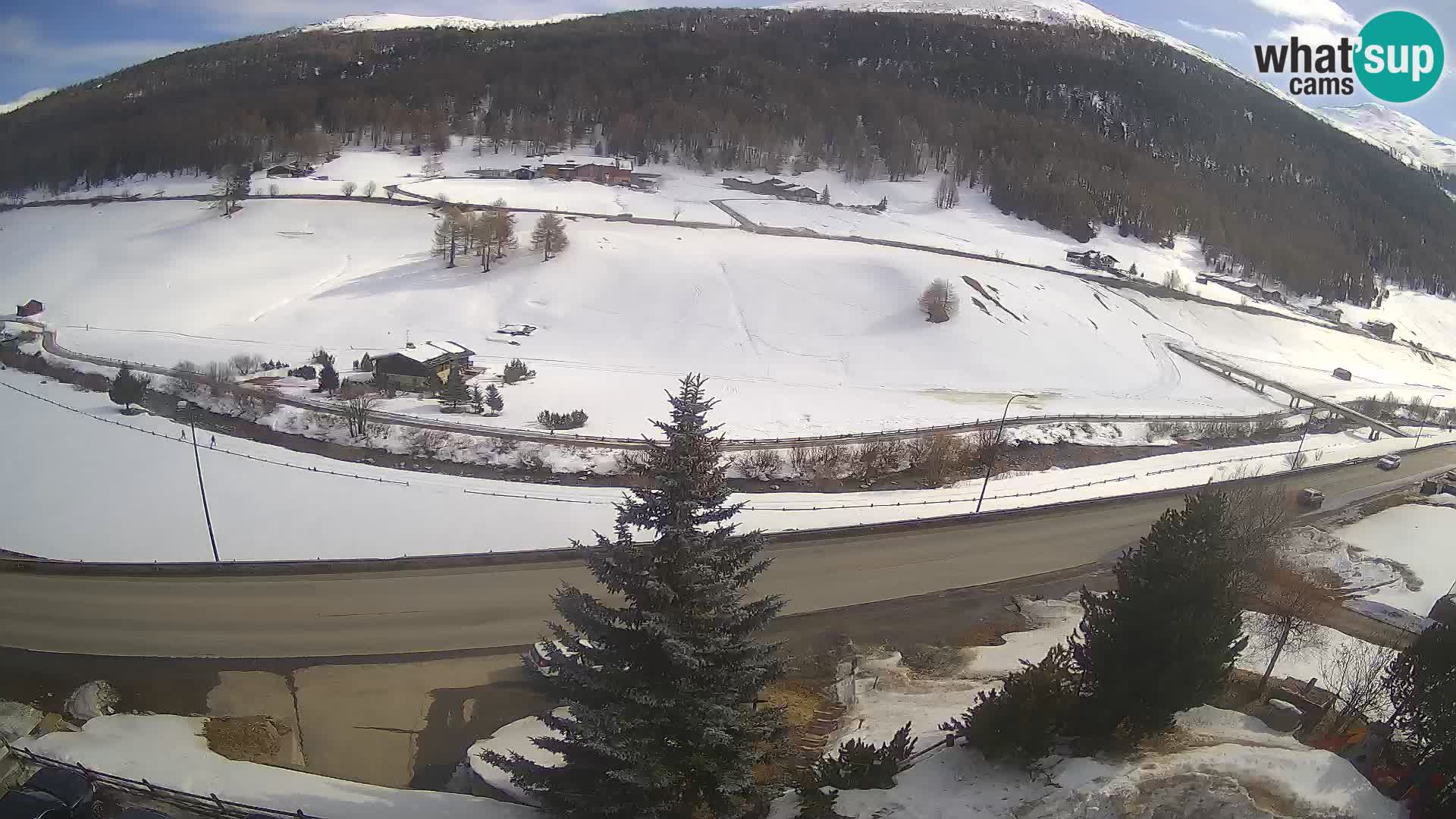 Livigno web kamera Hotel Primula