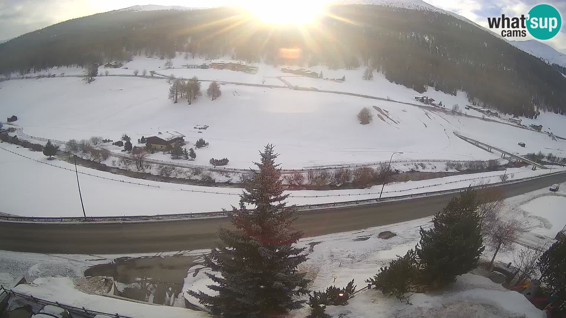 Livigno Cam Hotel Primula | Livigno smučišče