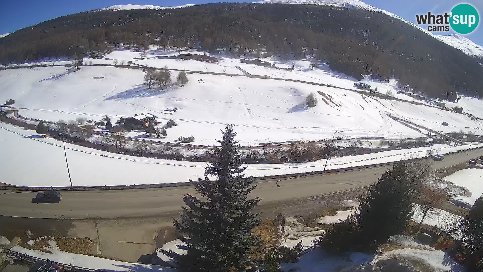 Livigno webcam LIVE Hotel Primula