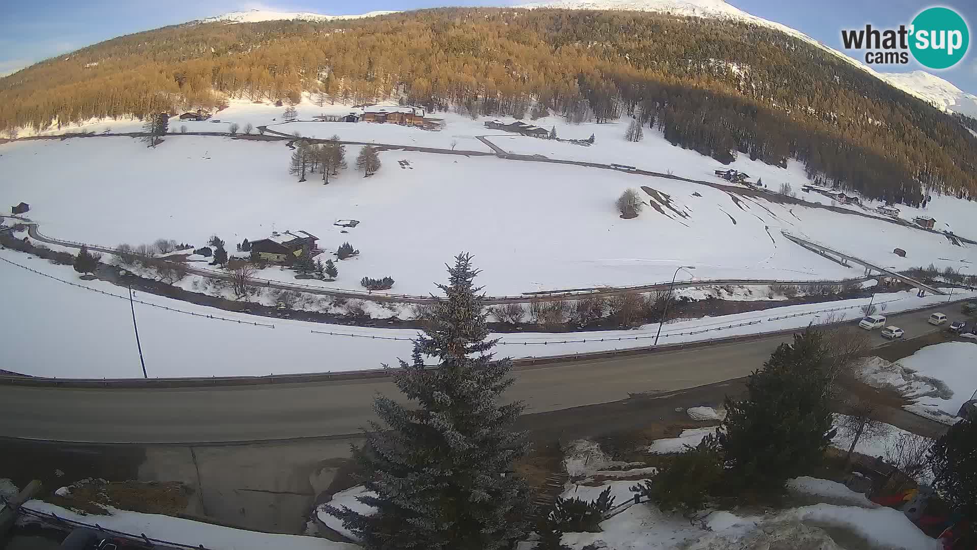 Webcam Livigno Hotel Primula