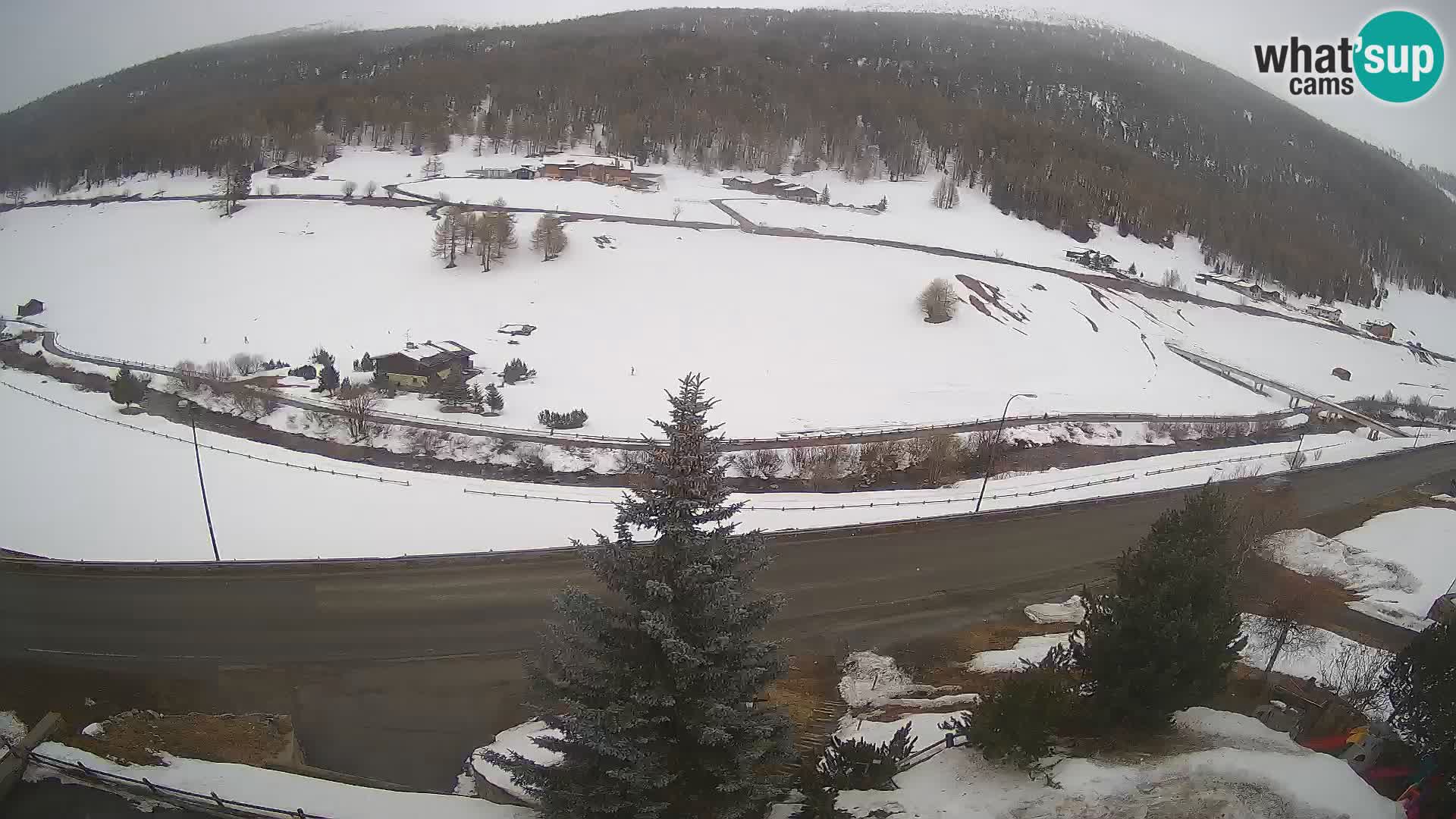 Web Cam Livigno | Hotel Primula