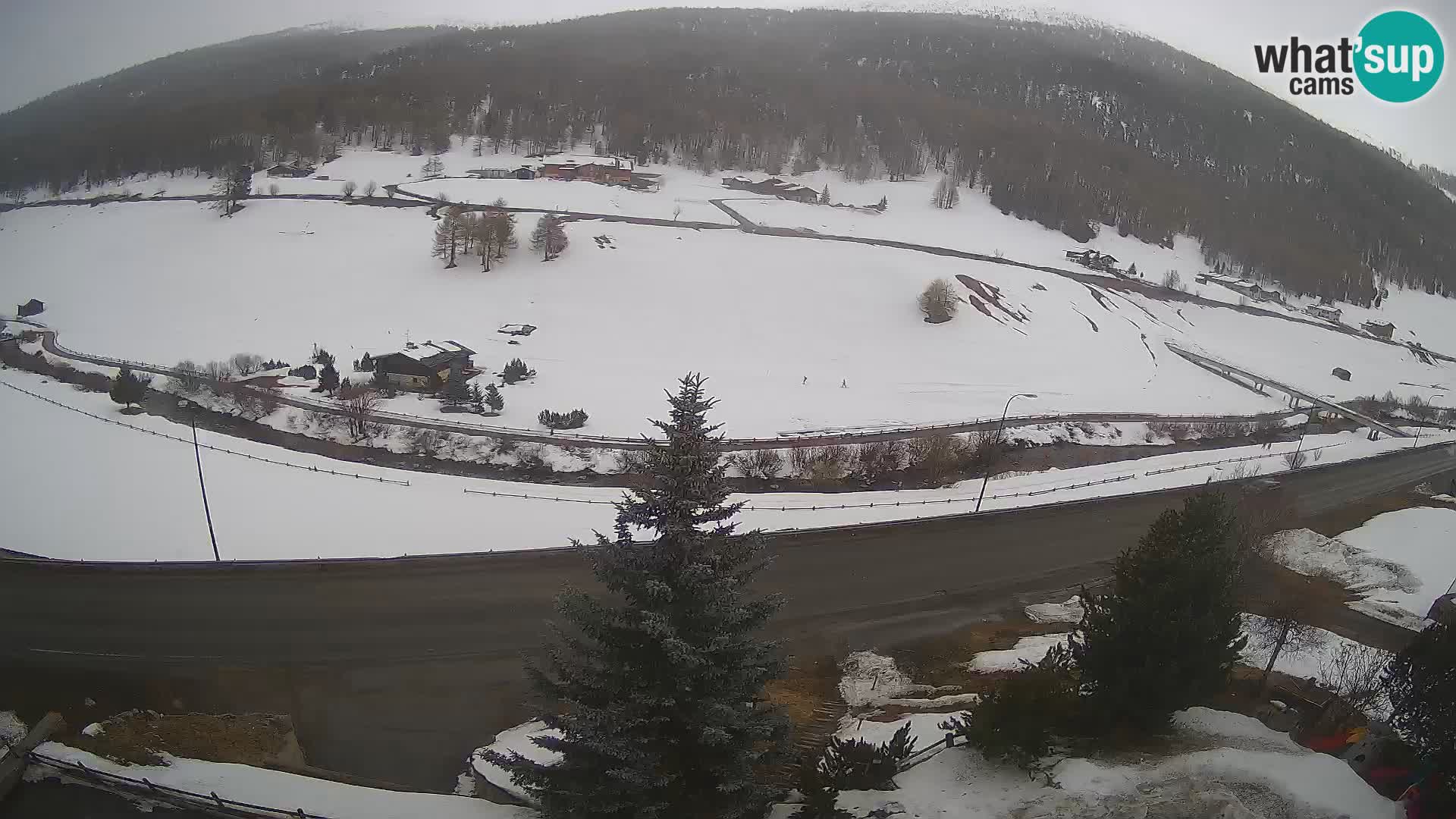 Livigno web kamera Hotel Primula