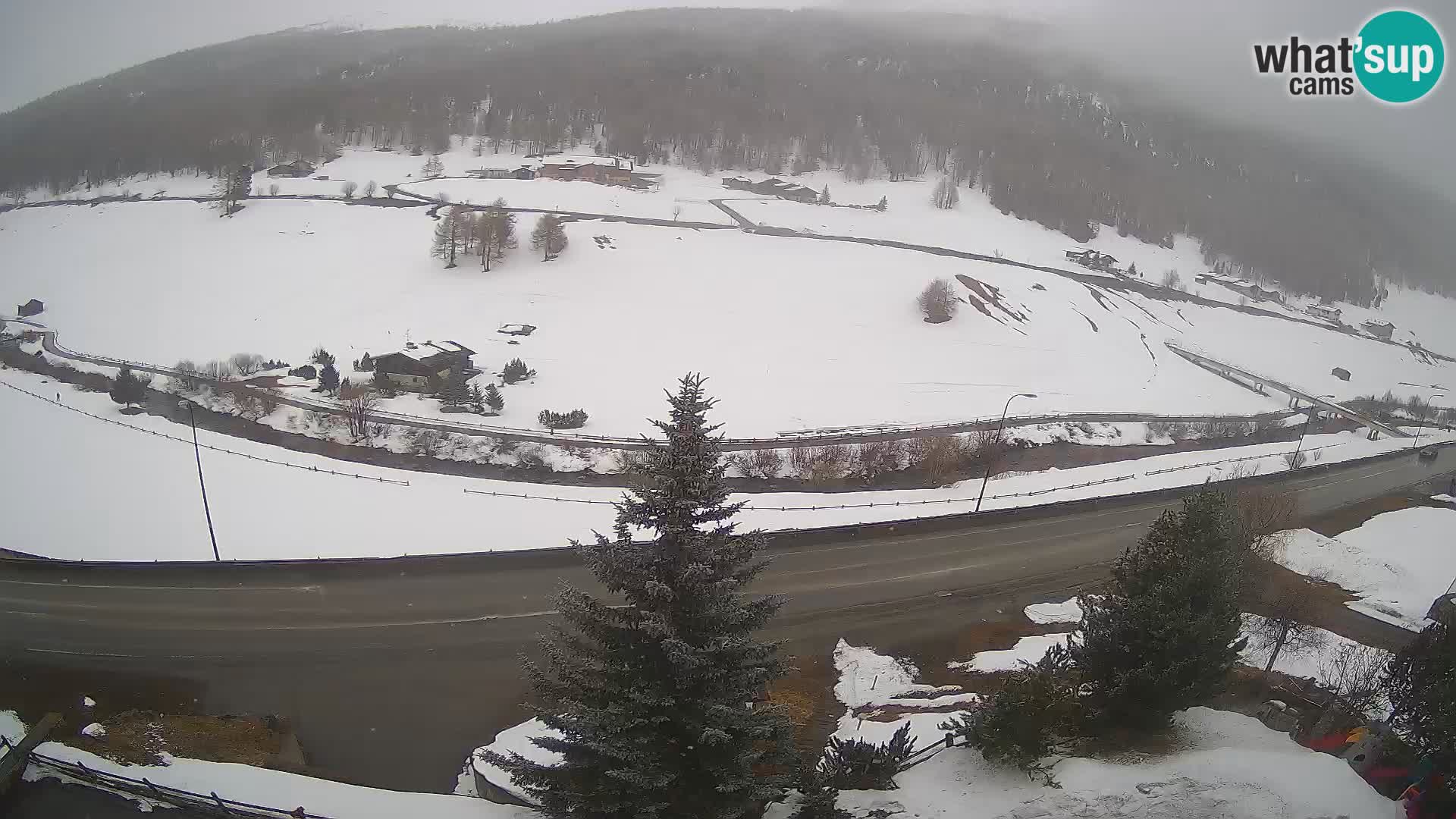 Web Cam Livigno | Hotel Primula