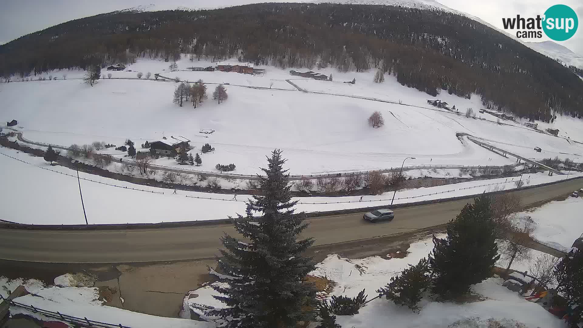 Camera Livigno Hotel Primula | ESQUIAR