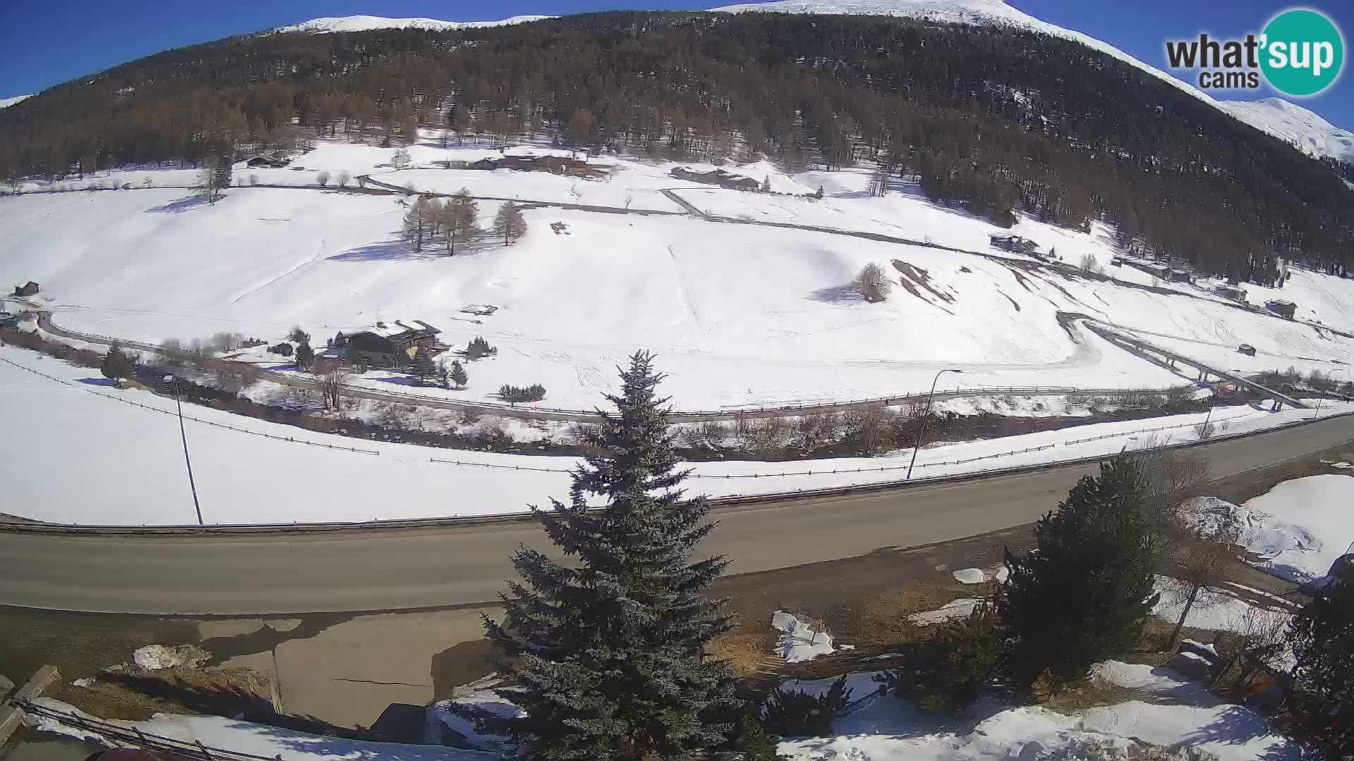 Livigno Hotel Primula webcam